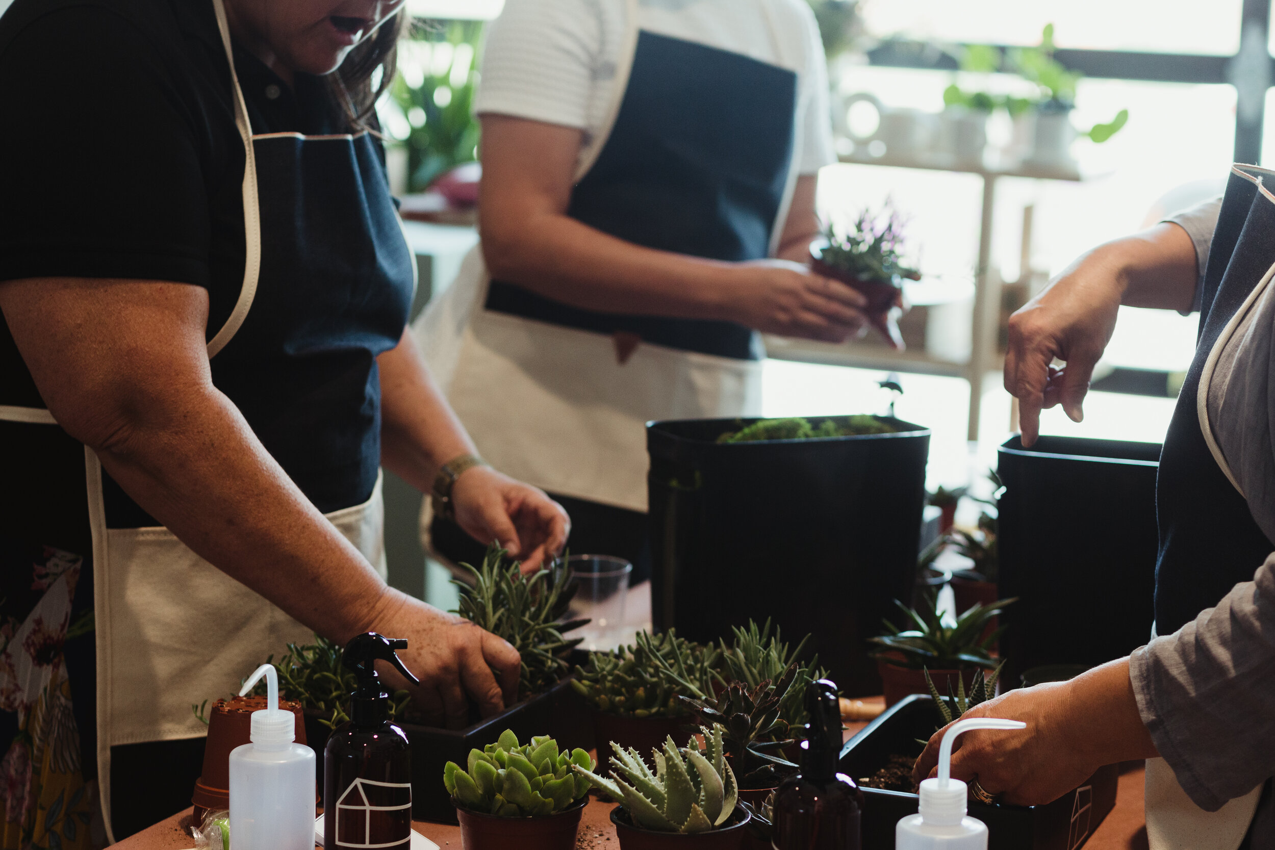 gifted_class_workshop_succulent37.jpg