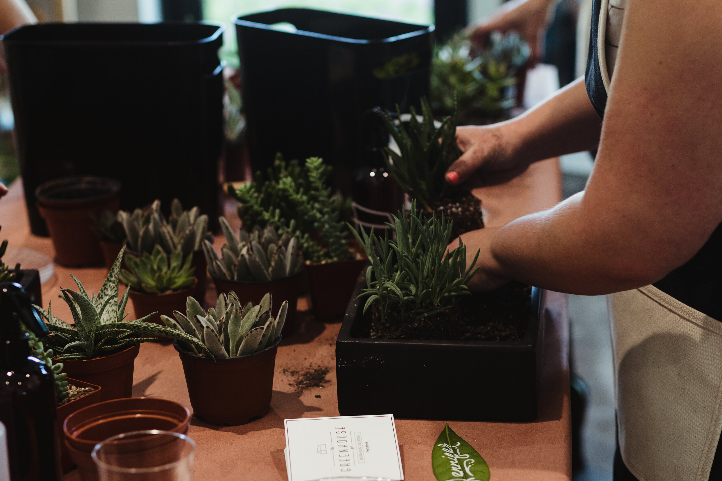 gifted_class_workshop_succulent42.jpg