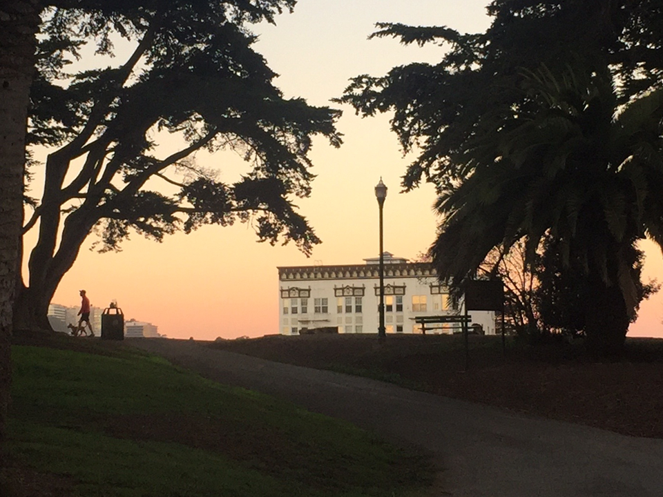 The Secret Lives of Alamo Square
