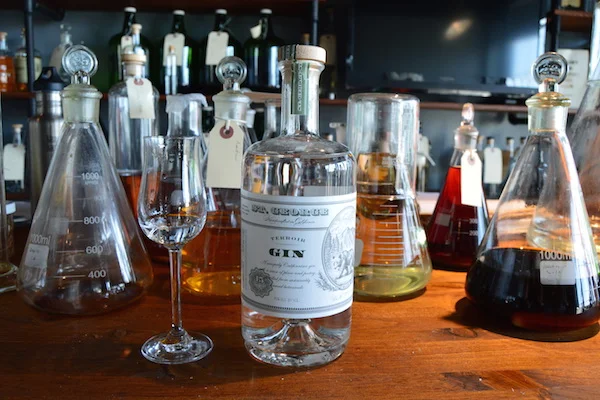 How to Drink Gin in the Winter: 4 Perfect Cocktail Recipes