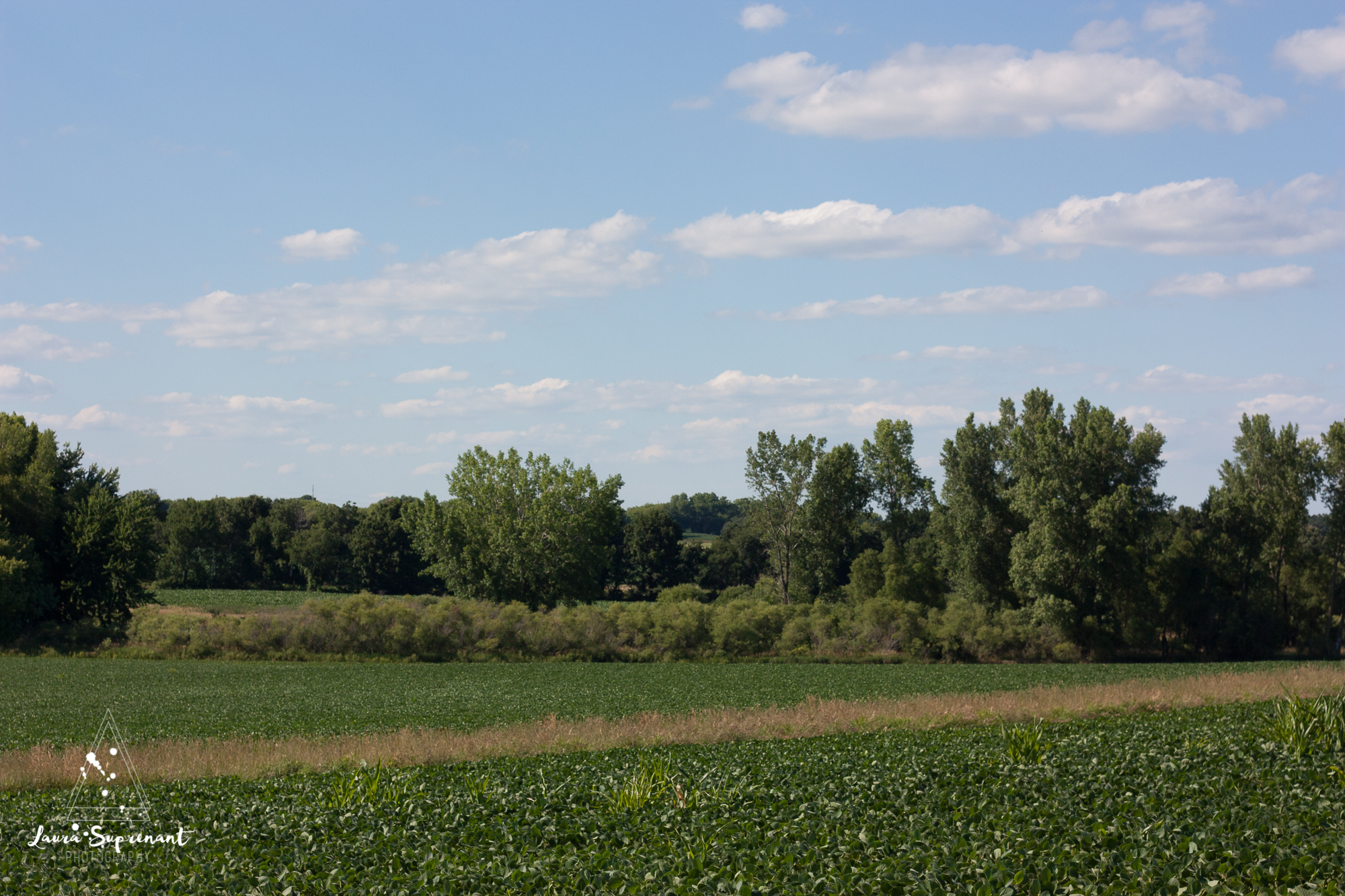 July 4 Wisconsin-0292.jpg