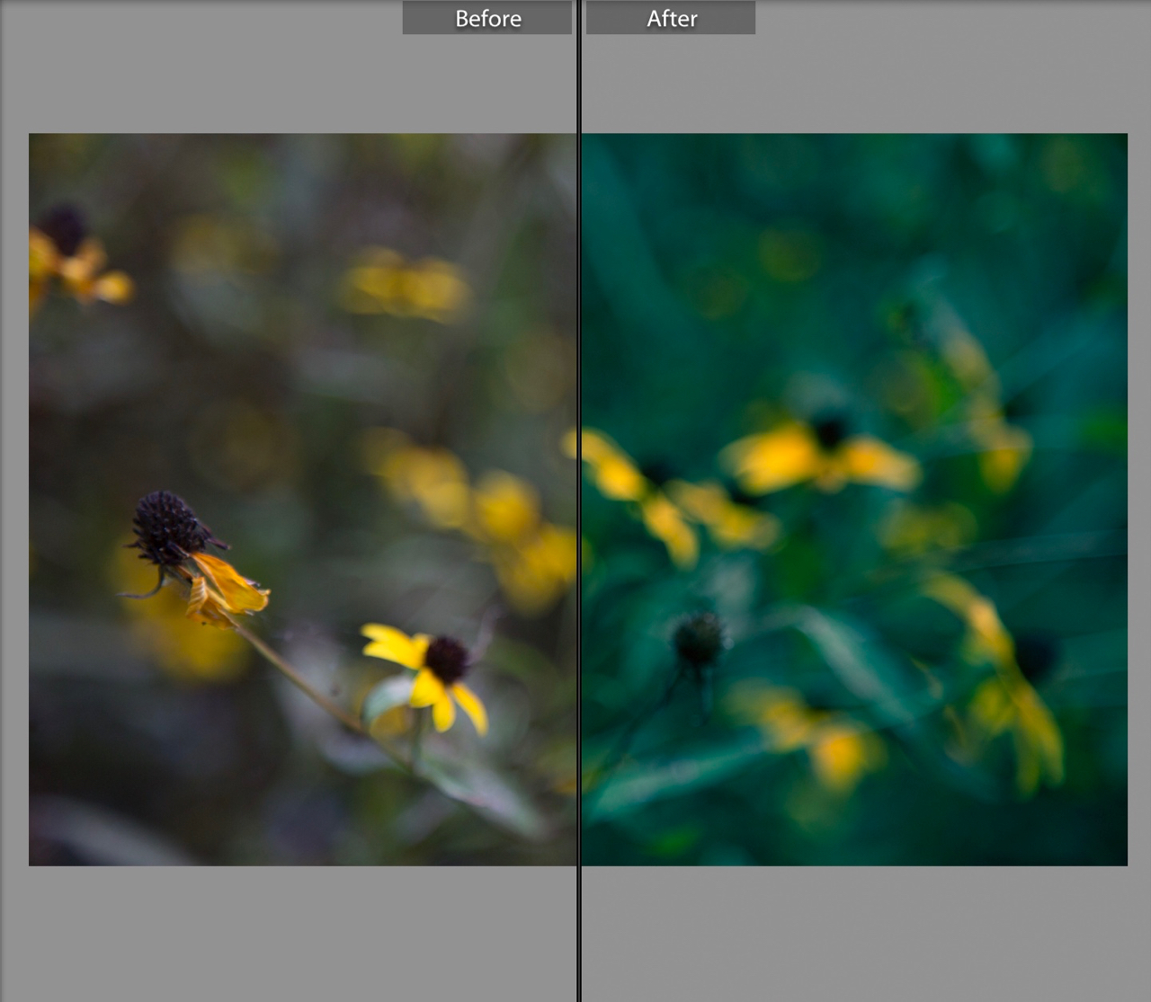 lightroom_split_toning - 2.jpg