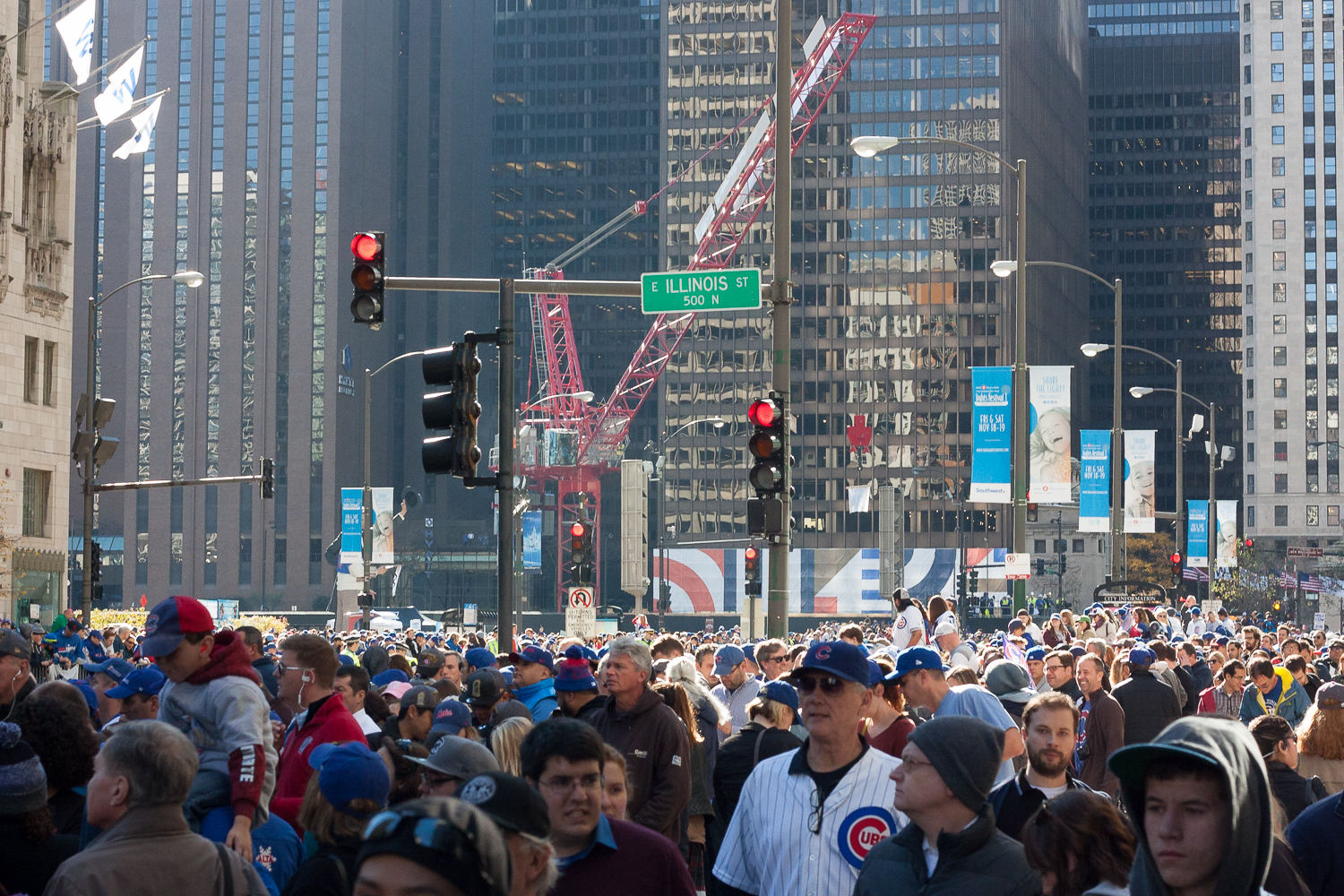 Cubs_Win_World_Series_Laura_Suprenant_Photography-8.jpg