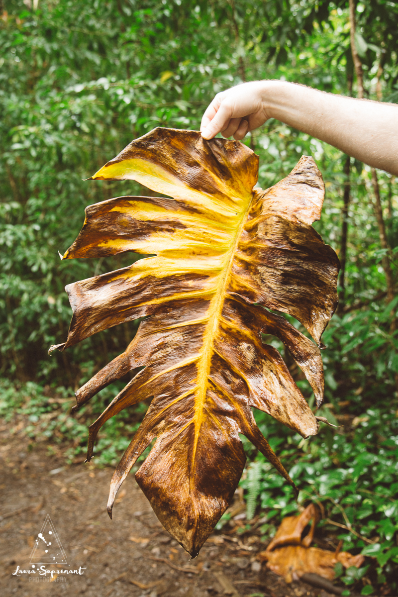 travel_photographer_chicago_hawaii-21.jpg