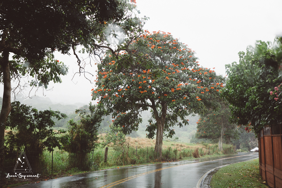 travel_photographer_chicago_hawaii-34.jpg