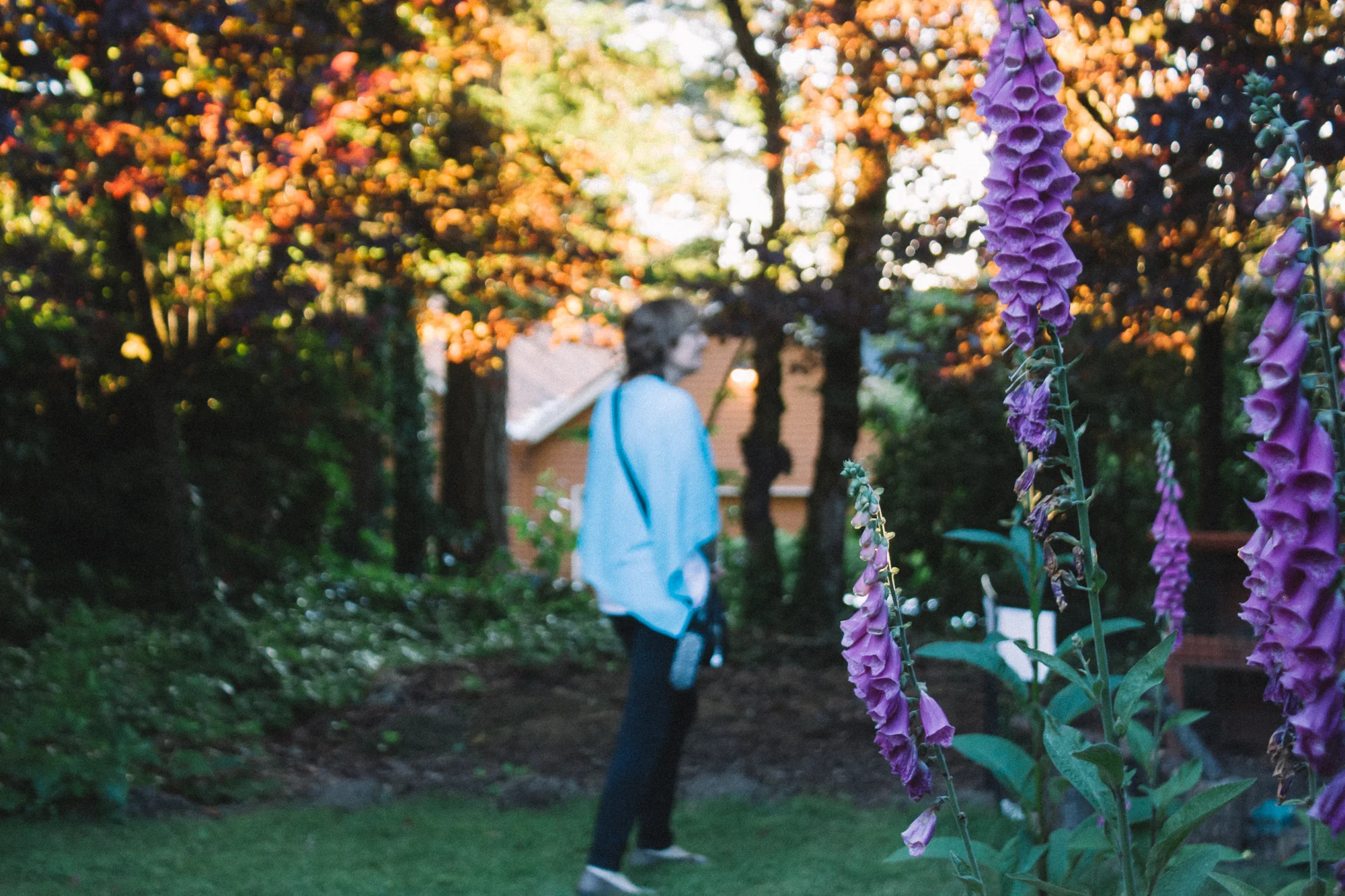 eugene_oregon_photography-6.jpg