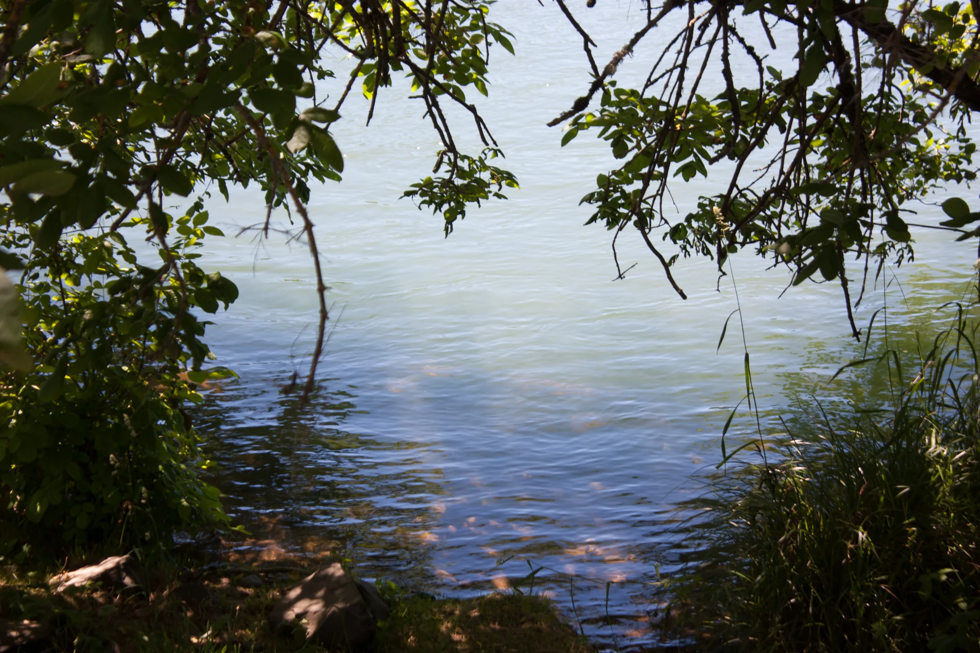 eugene_oregon_photography-19.jpg