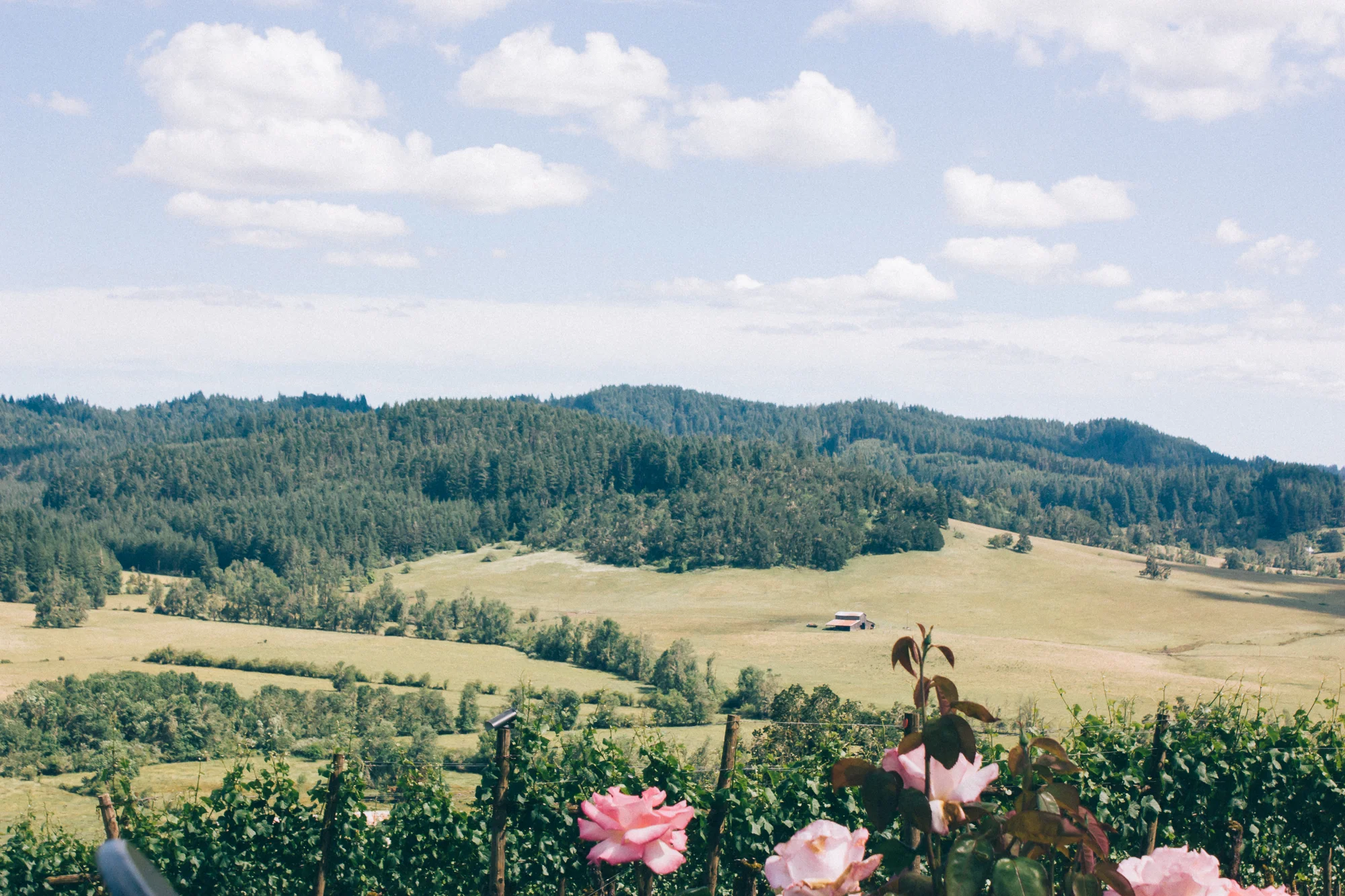 eugene_oregon_photography-52.jpg