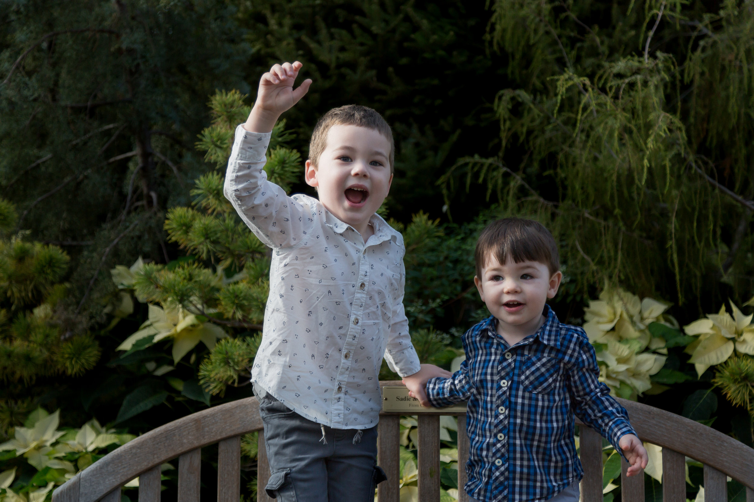 Chicago_Photographer_Garfield_Park_Conservatory_Family_Holiday-4.jpg