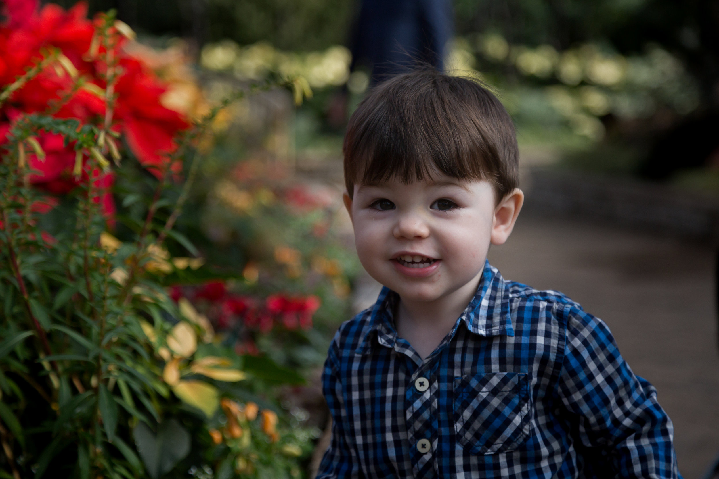 Chicago_Photographer_Garfield_Park_Conservatory_Family_Holiday-6.jpg