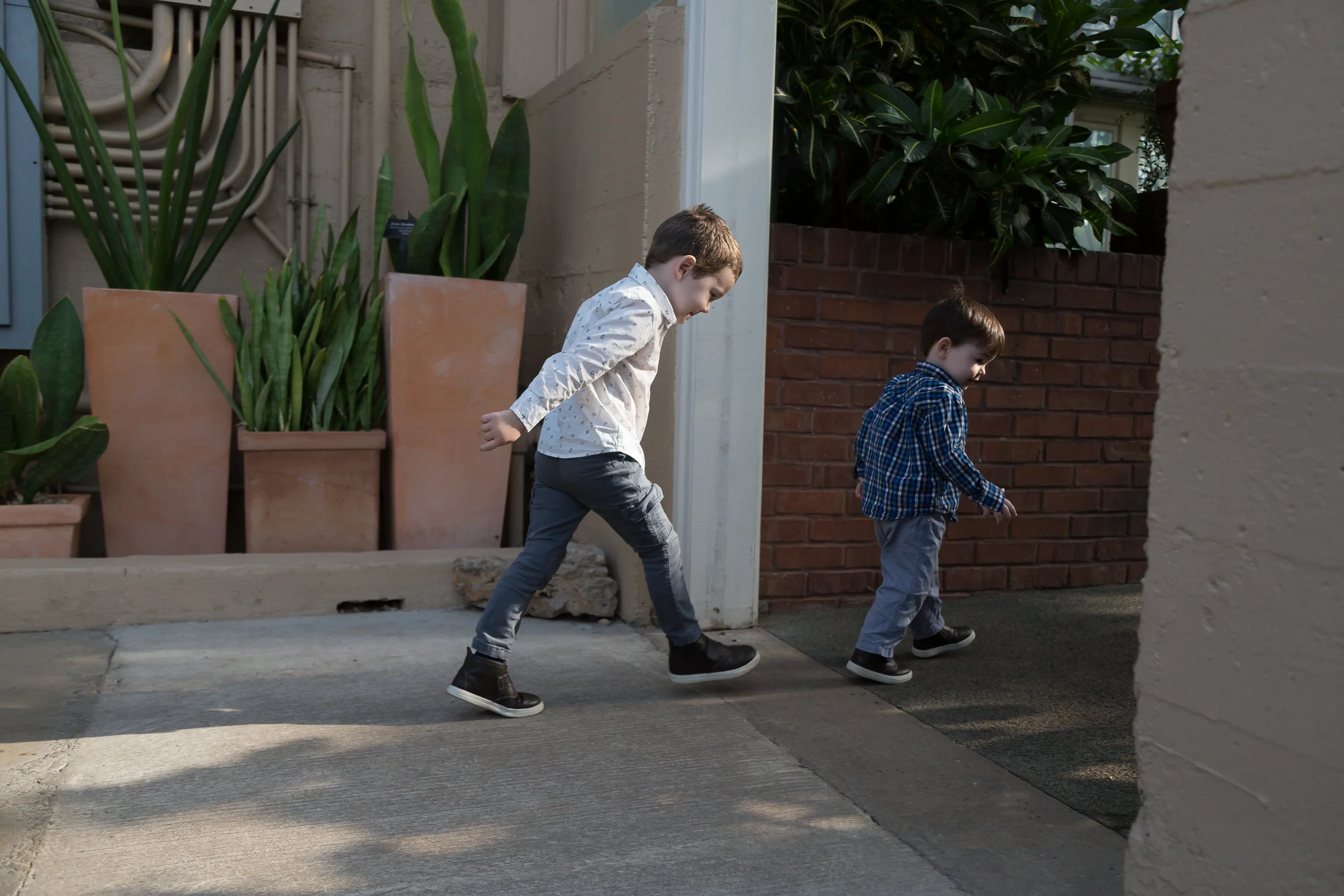 Chicago_Photographer_Garfield_Park_Conservatory_Family_Holiday-8.jpg