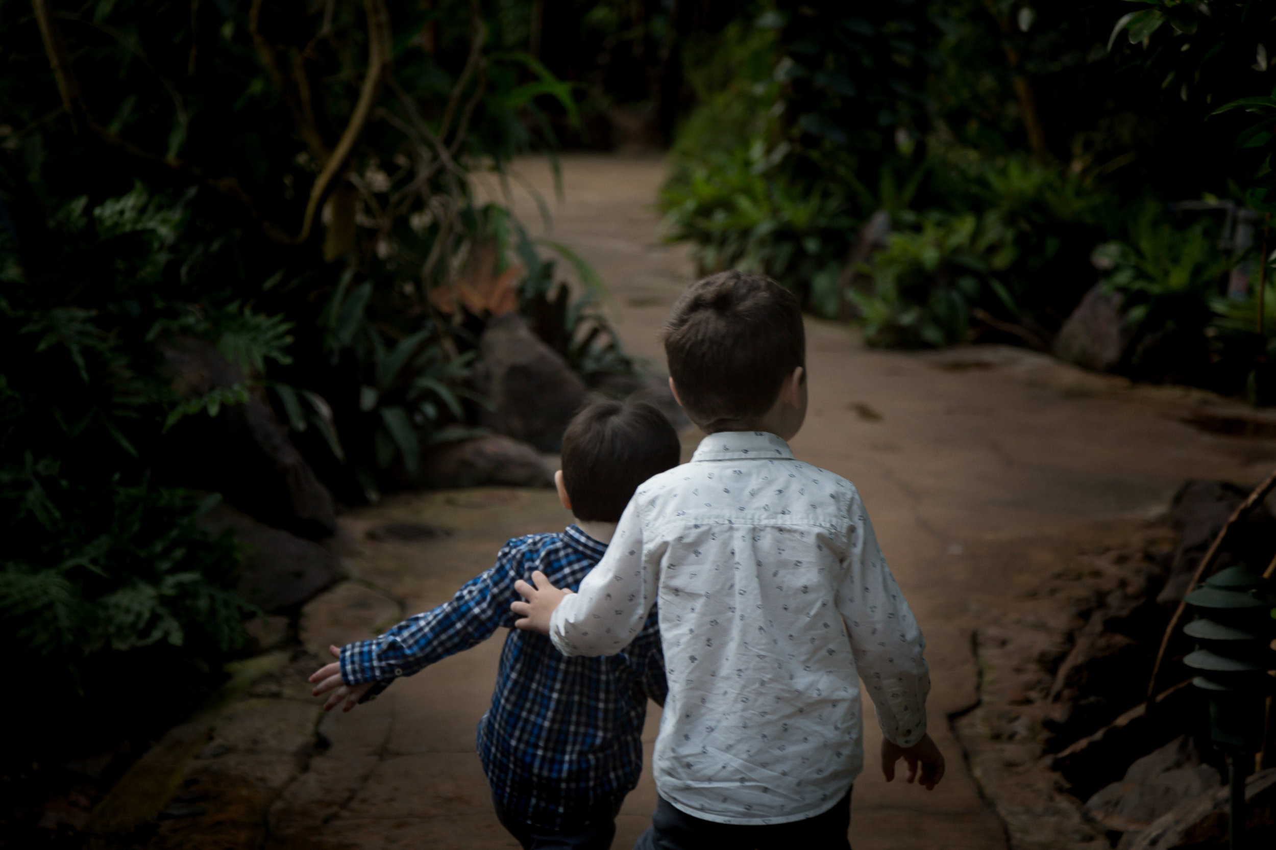 Chicago_Photographer_Garfield_Park_Conservatory_Family_Holiday-10.jpg