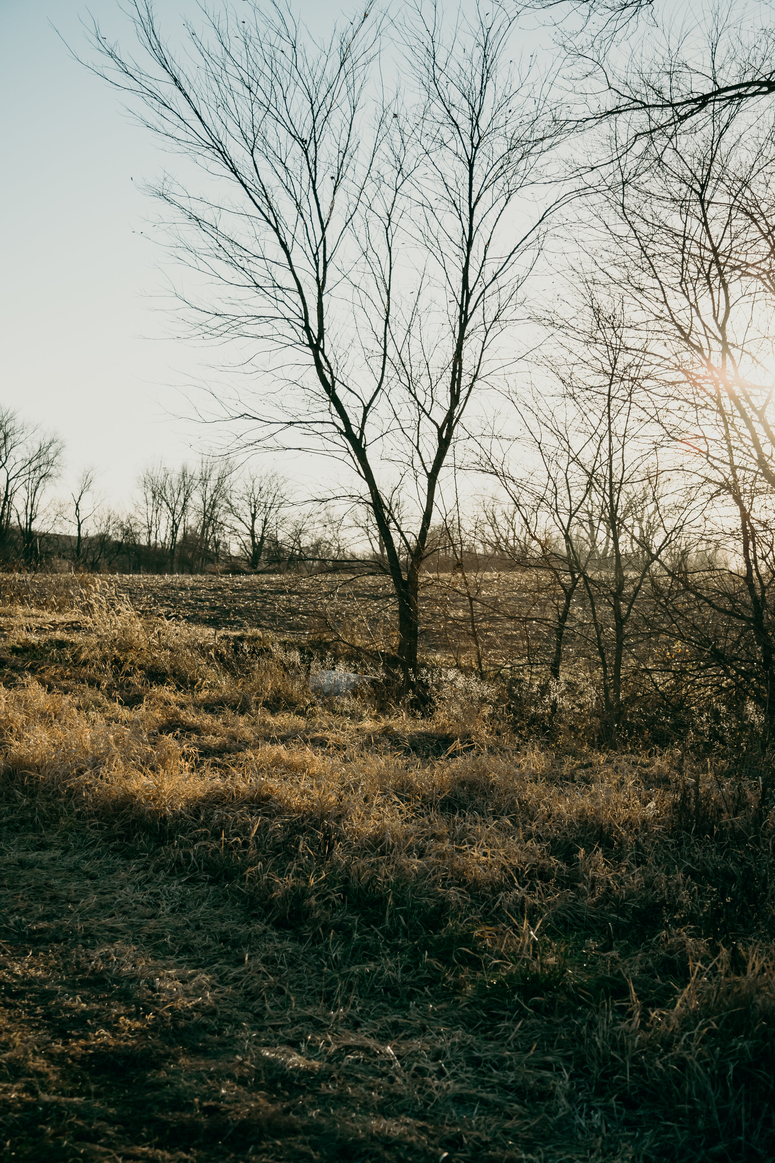 Farm_fun_phil_chester_presets_chicago_photographer-9.jpg