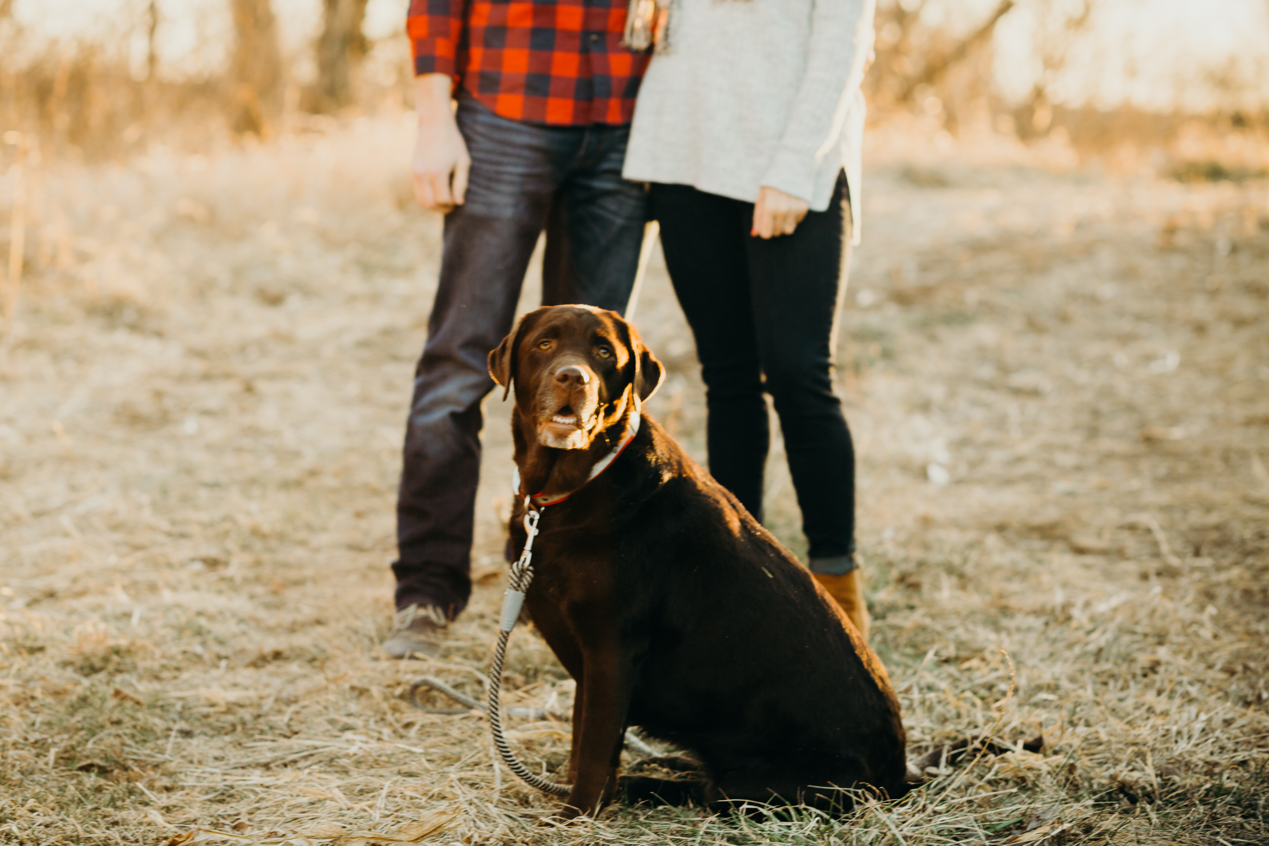 Professional_photographer_engagement_chicago_wedding_portrait_laura_suprenant_-12.jpg