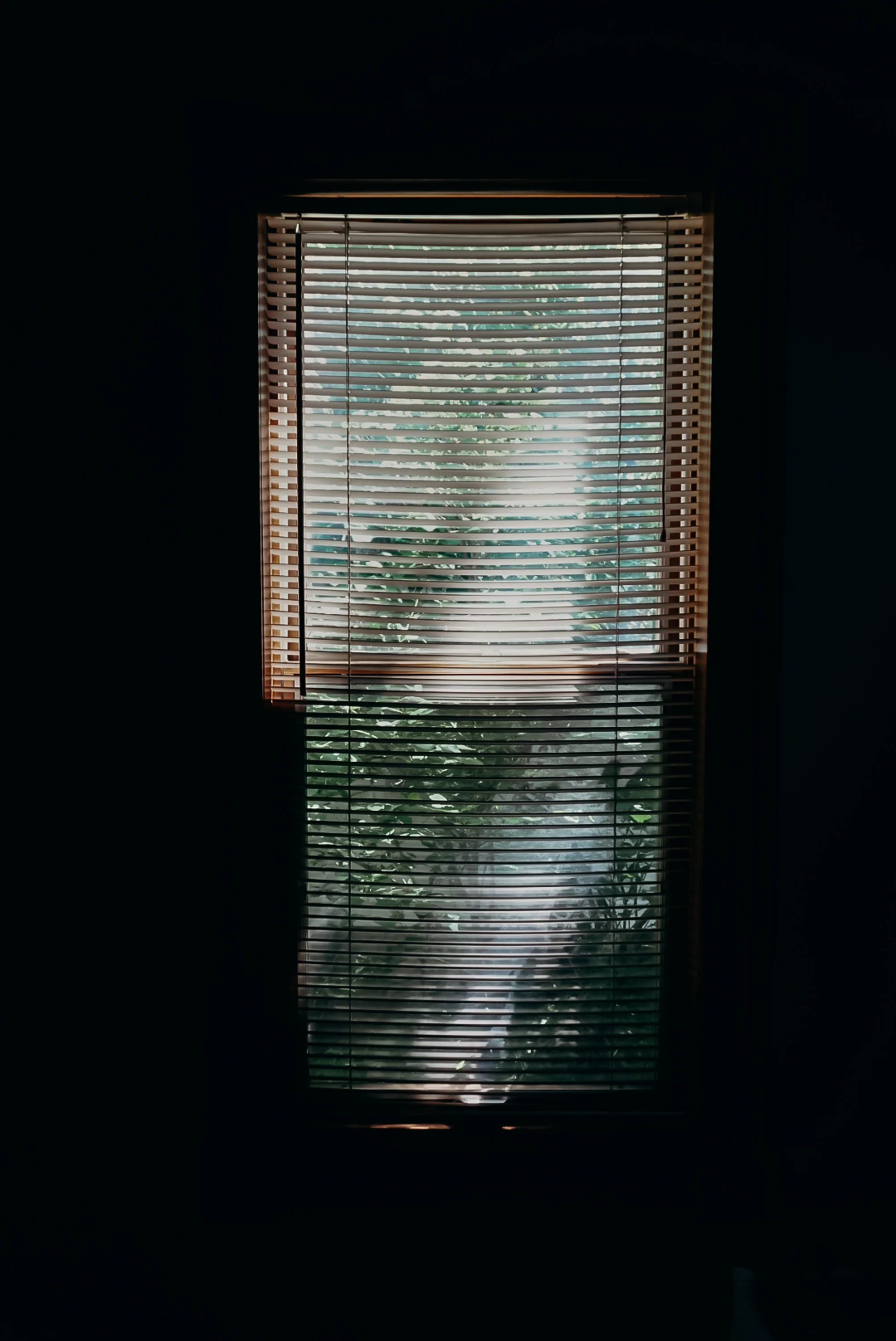 The next morning.
