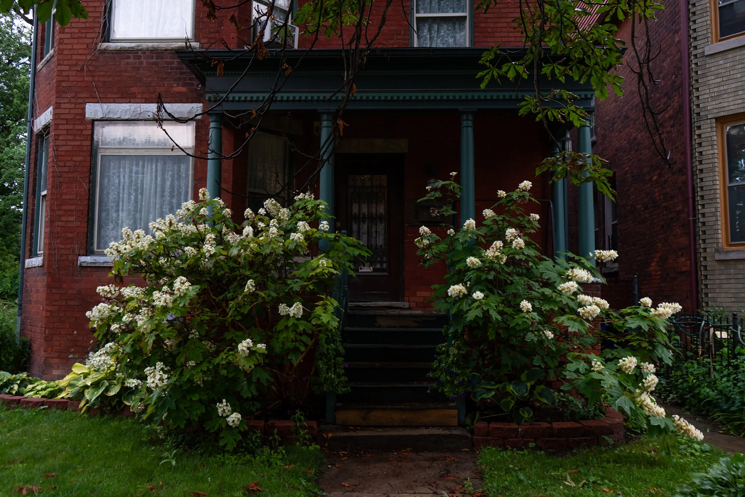 Detroit on Film laura suprenant photography detroit michigan-9.jpg