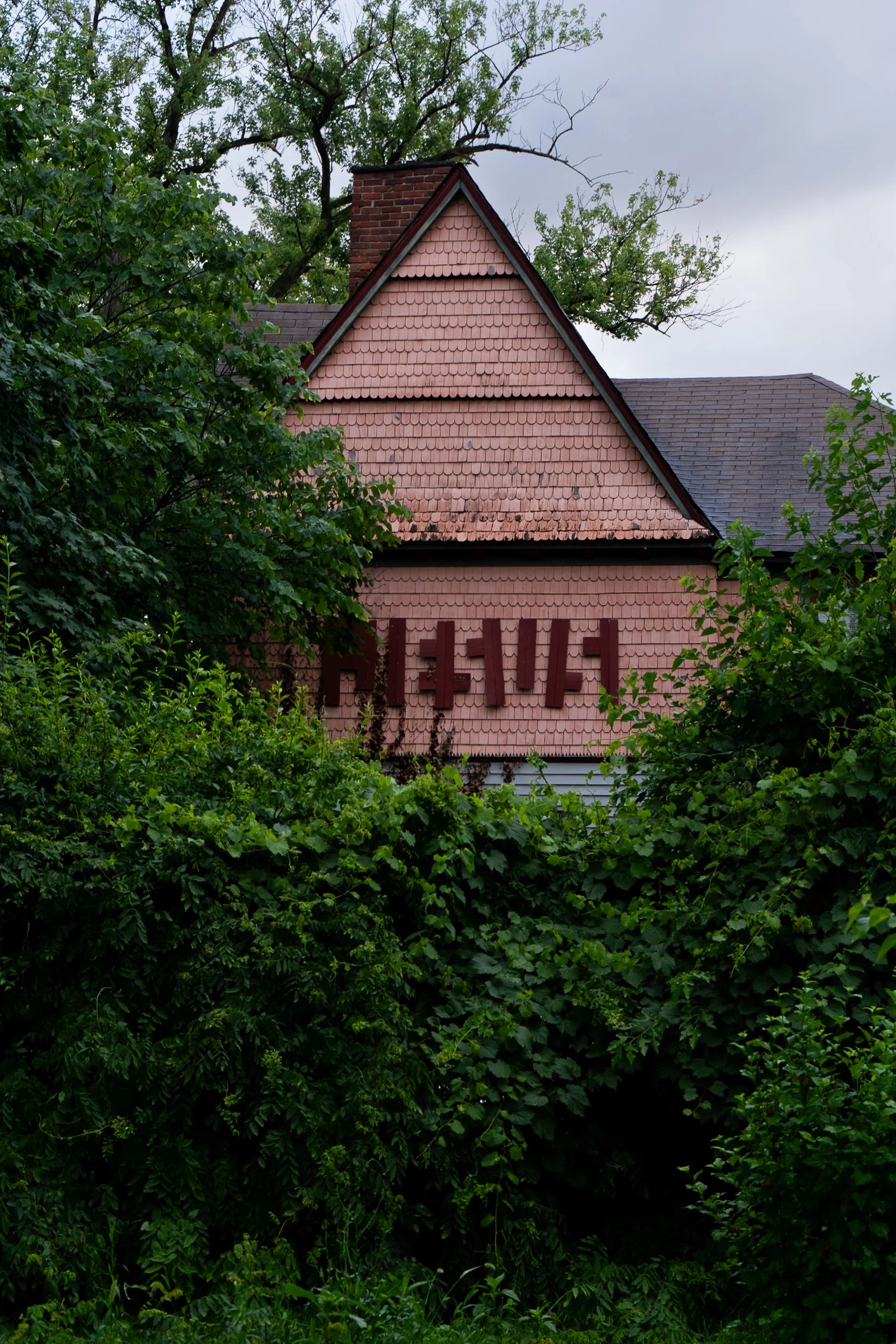 Detroit on Film laura suprenant photography detroit michigan-10.jpg