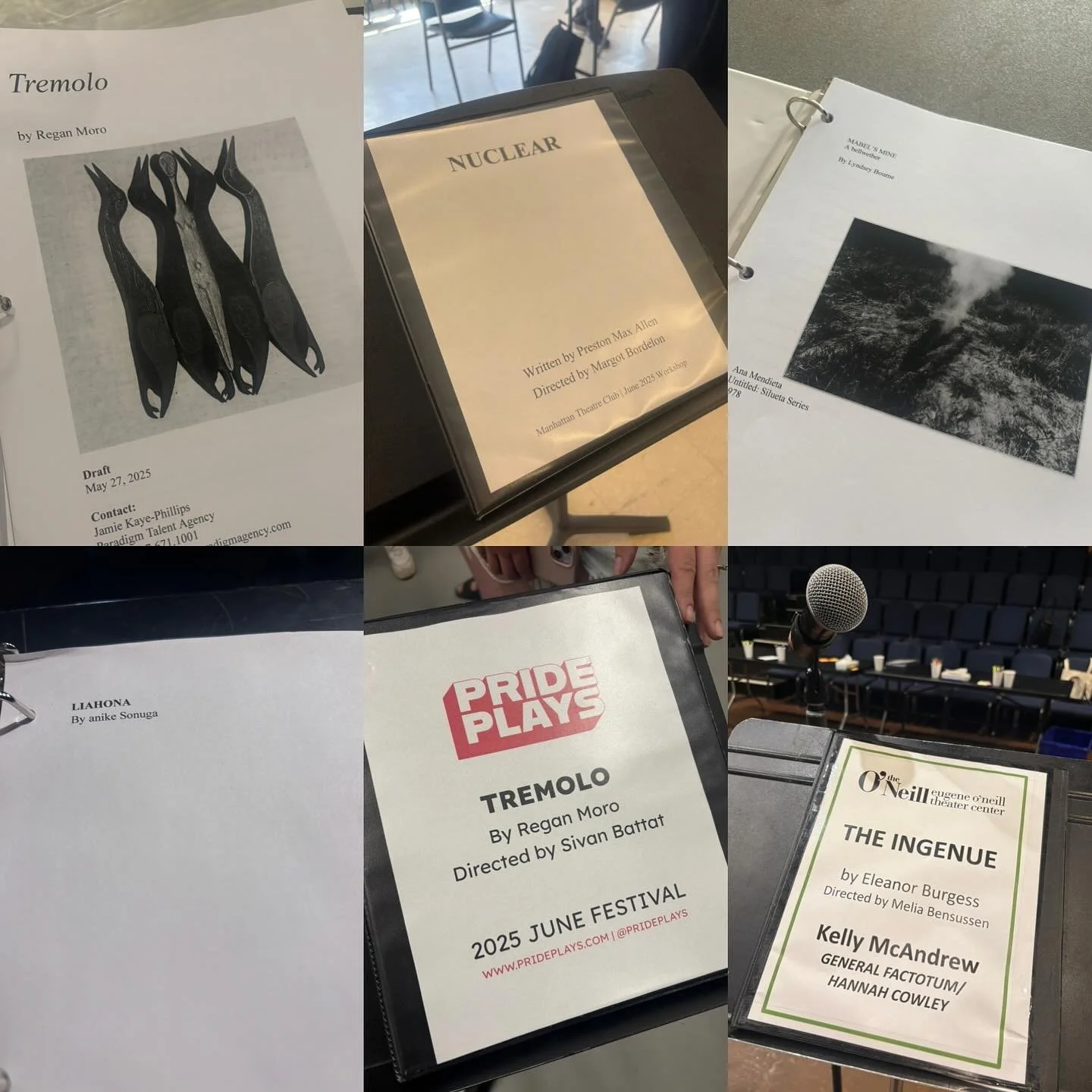 My dreamy new play development June ended yesterday. I am ridiculously inspired by these geniuses!

Behold the binders full of brilliance!
Tremelo by @reganmoro4  for @faultline_th 
Nuclear by @prestonmaxallen for @mtc_nyc 
Mable&rsquo;s Mine by @bou