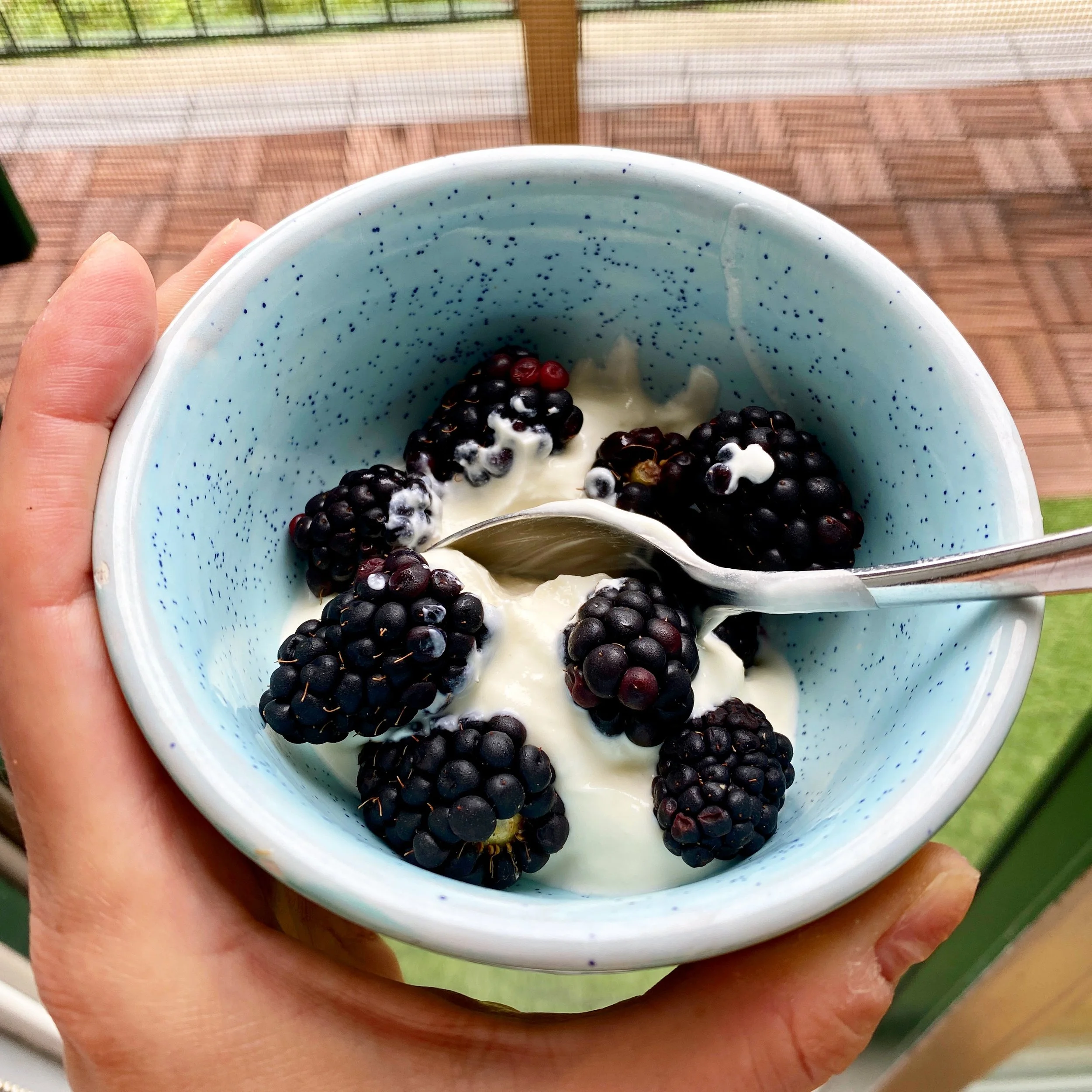 What’s the Difference Between Prebiotics and Probiotics?