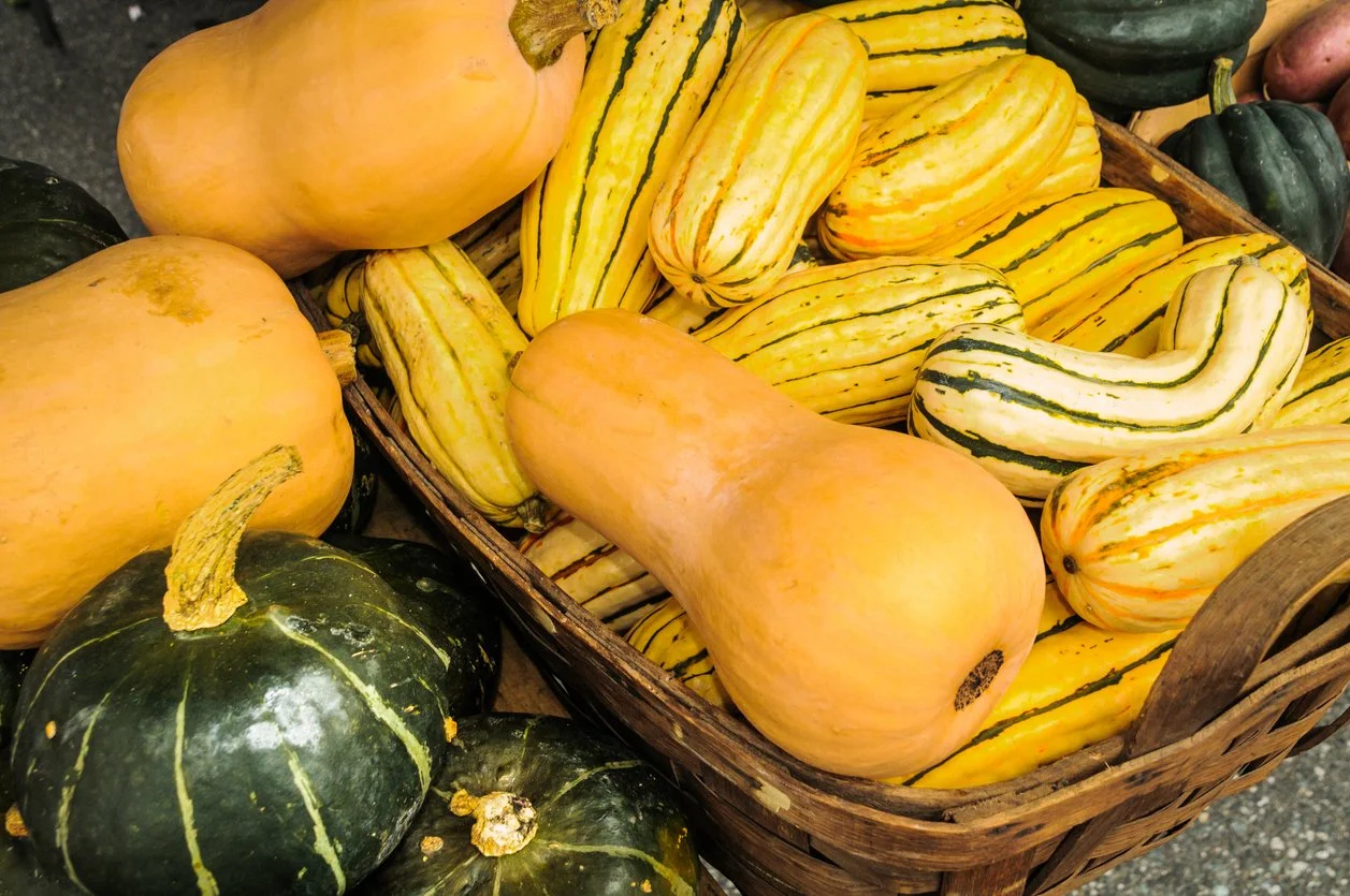 25 Types of Squash--and How to Use Them