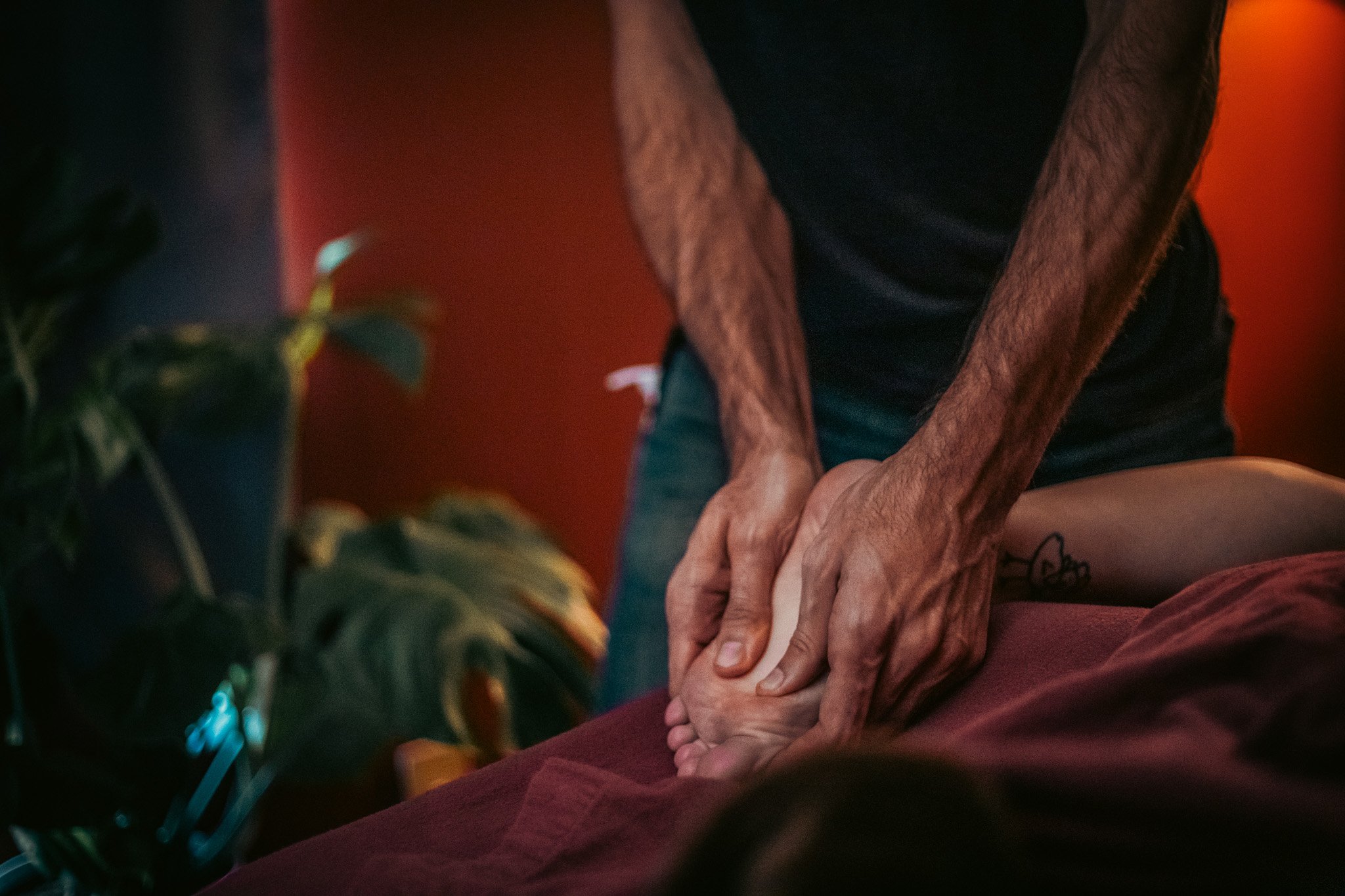 Person receiving a foot massage by a massage therapist in a calm room with plants.