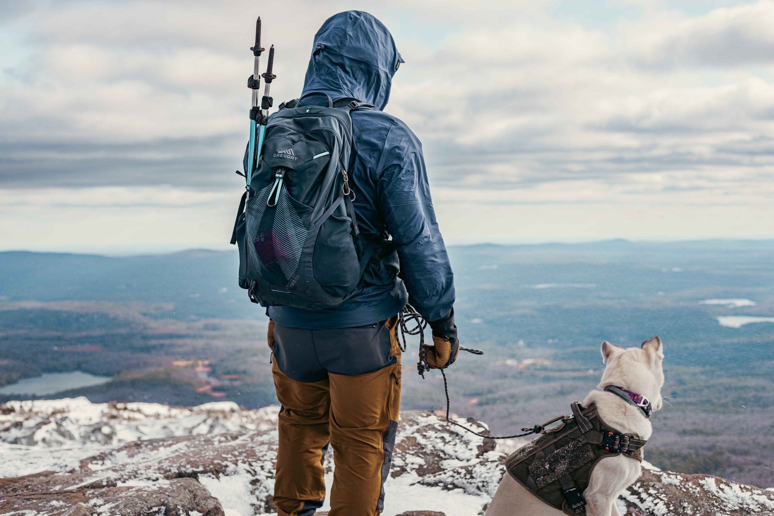 Person in outdoor gear with a backpack and trekking poles standing on a snowy mountain, overlooking a panoramic landscape with a white dog on leash.