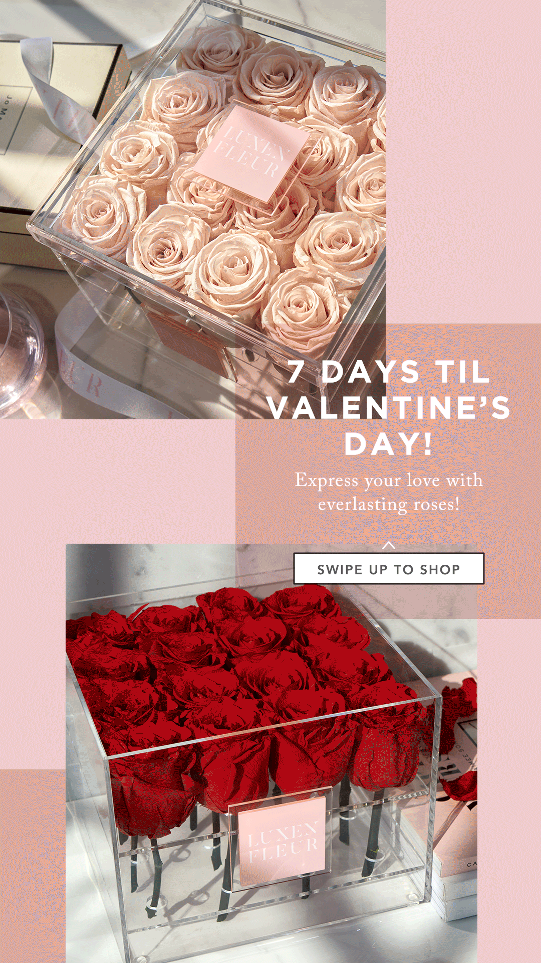 Instagram Story (click to enlarge)