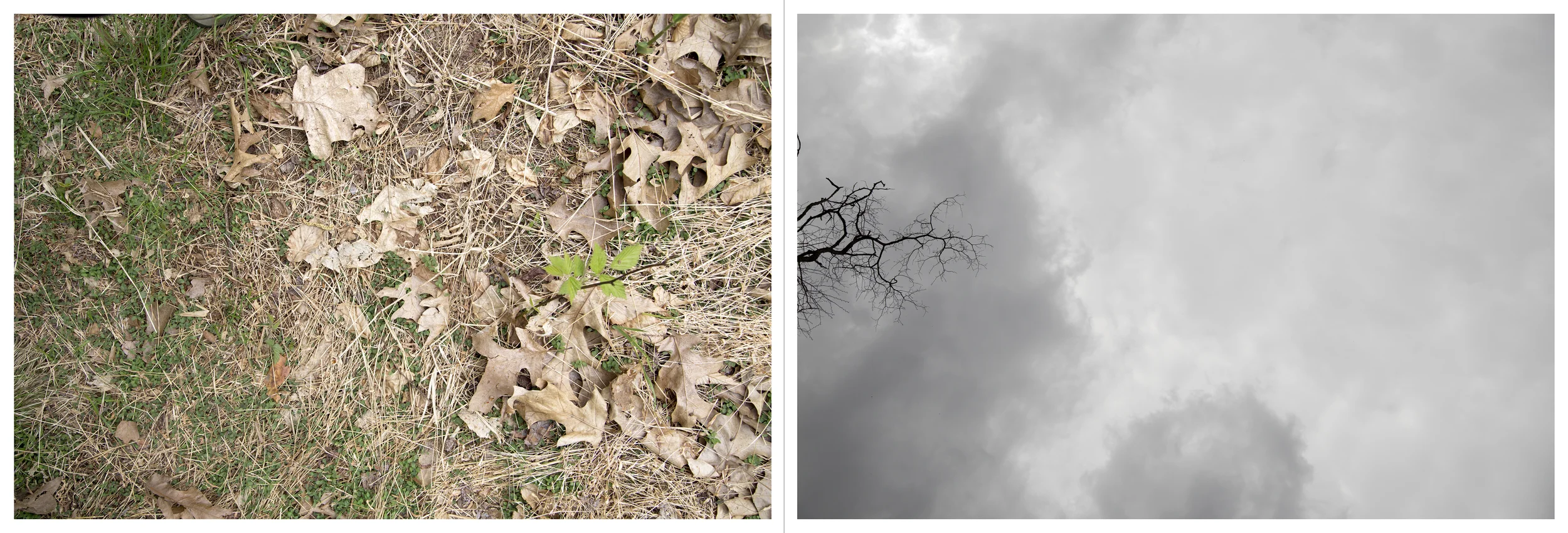 And so on and so forth in much the same vein: Abandoned Site, Inkjet Photograph, 24" X 72," 2015.