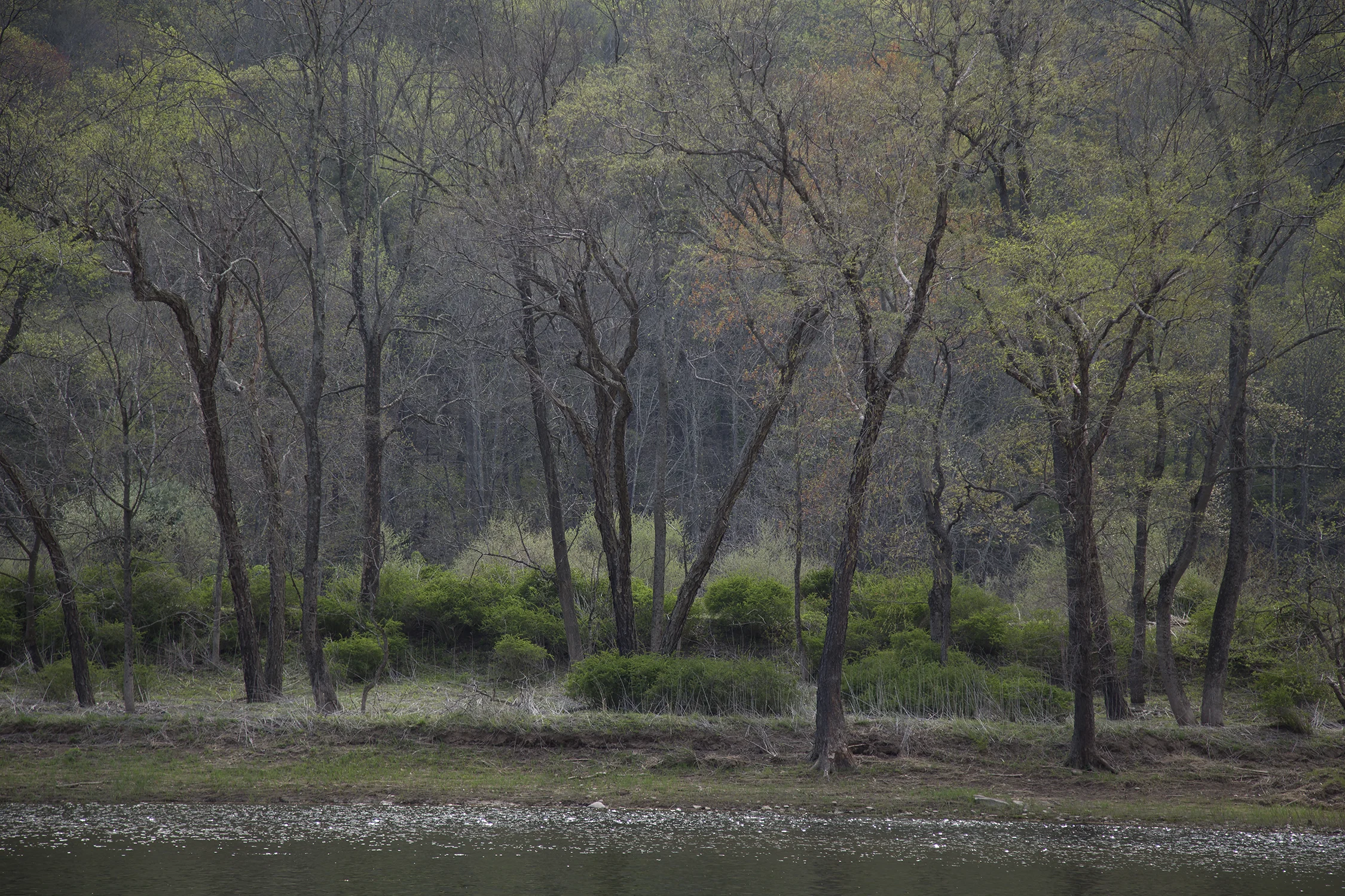 Missing you is forever, Inkjet Photograph, 40" X 26," 2015.