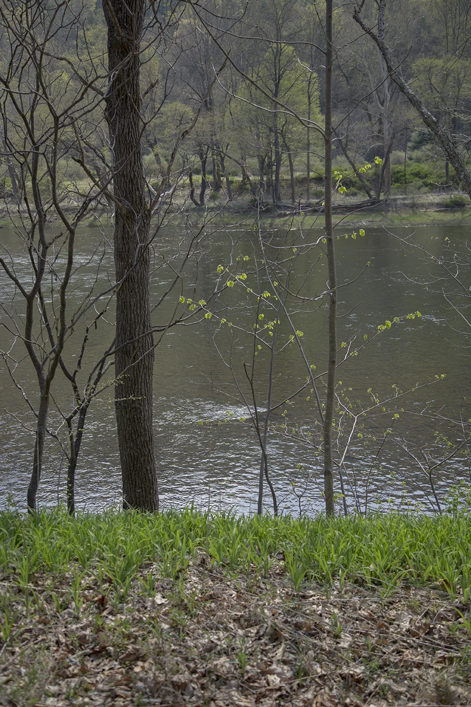 You said it's too cold to collect moss now, Image 5, Inkjet Photograph, 24" X 36" images, 2015.