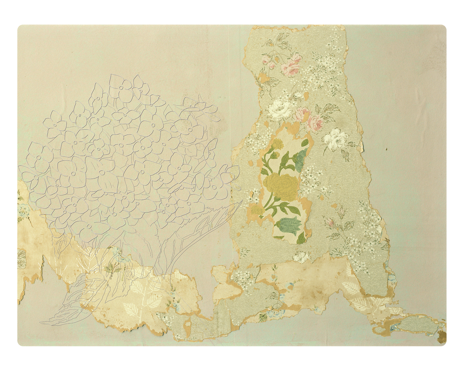 Your Form of Ennui cannot be Cured.  Hydrangea Study: Frigidity, Heartlessness.  2011. Inkjet, second surface mounted onto digitally dye-cut and etched plexi-glass. 30” T X 40” W.