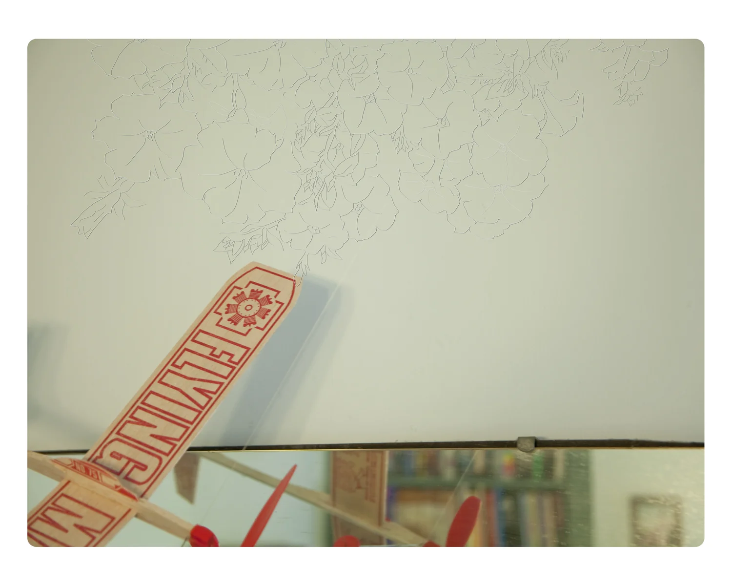 Maybe It’s the Weather that is Making Me Hopeful Again. Petunia Study: Resentment/ Anger. 2010. Inkjet, second surface mounted onto digitally dye-cut and etched plexi-glass. 30” T X 40” W.