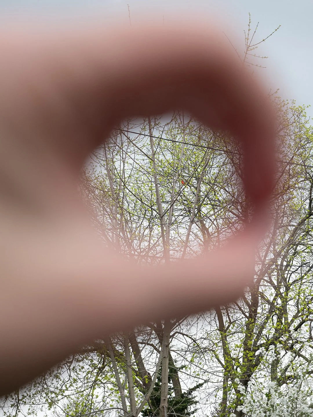 Circle Through, 2026