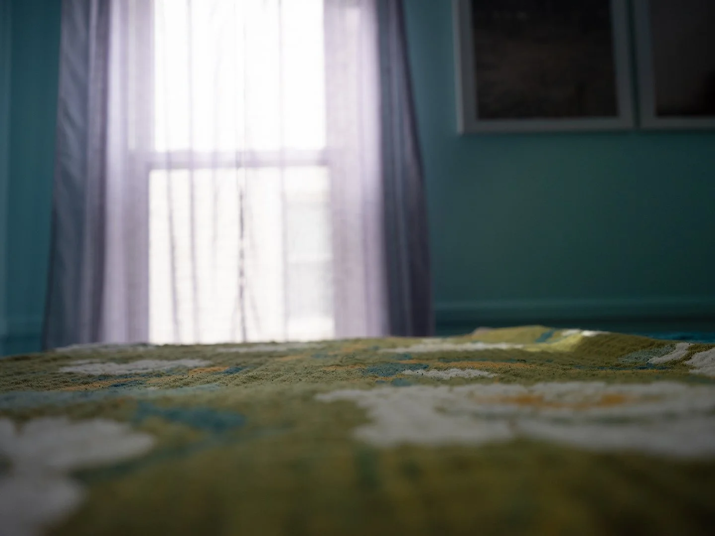 I Feel the Weight, 2026