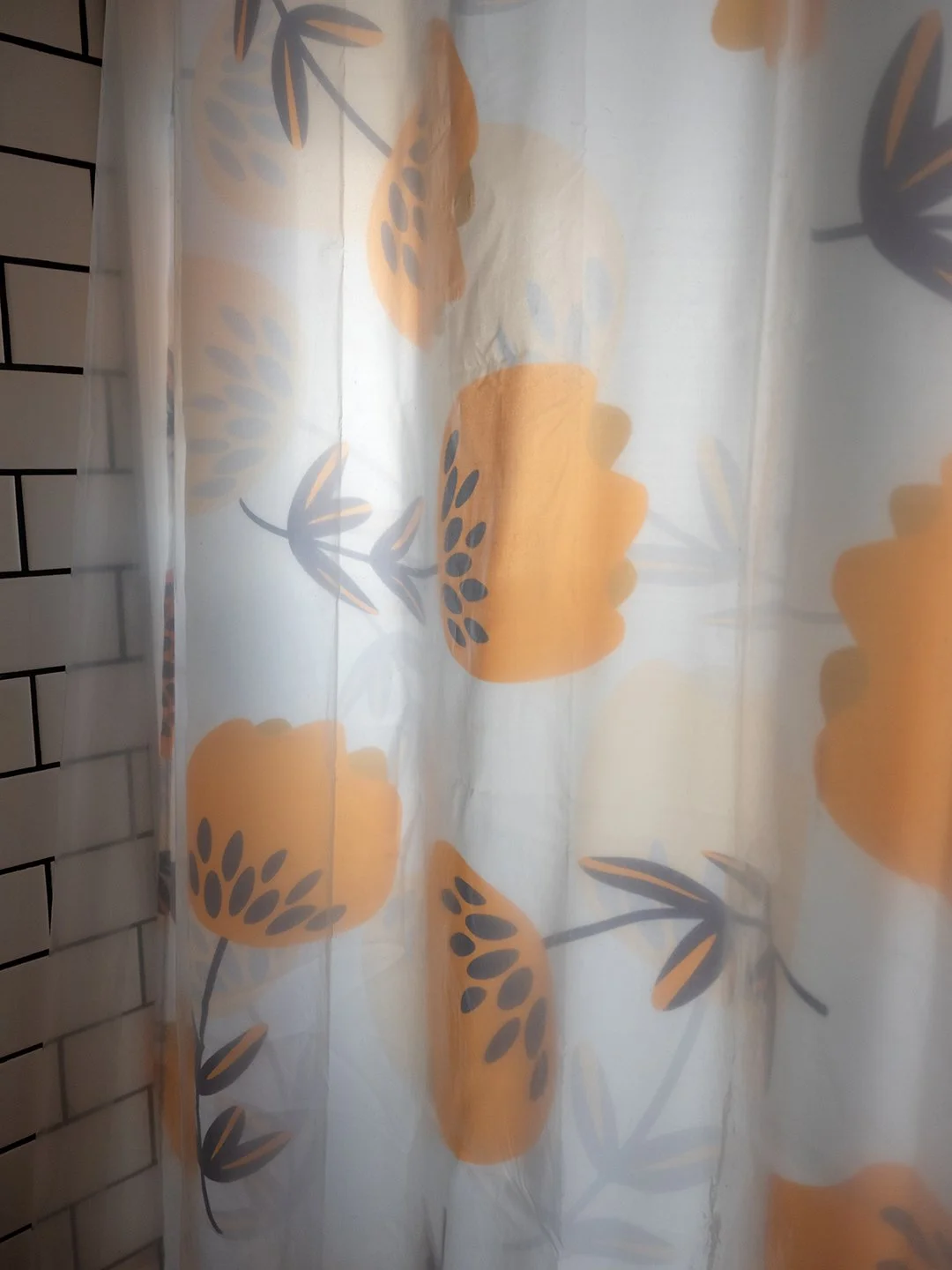 I Still See Last Year’s Flowers, 2026