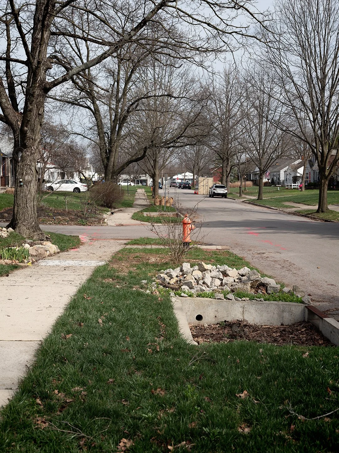 Regulated Margins, 2026