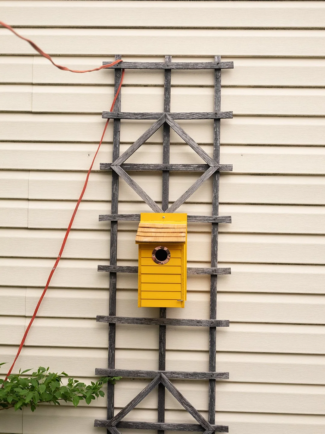 Waiting for Something, 2026