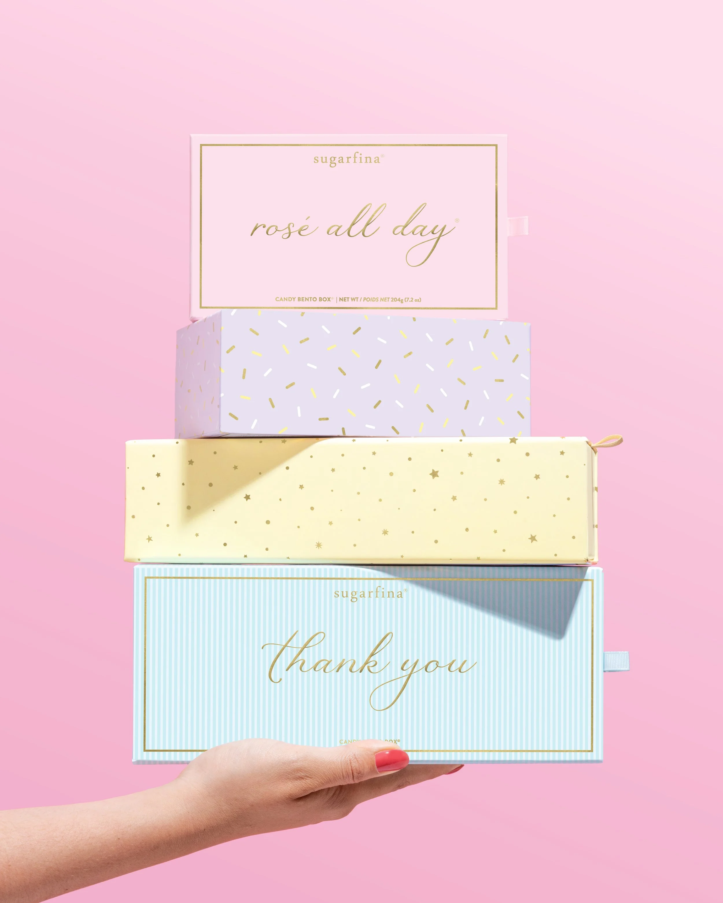 Script Bento Spotlight-2-4x5.jpg