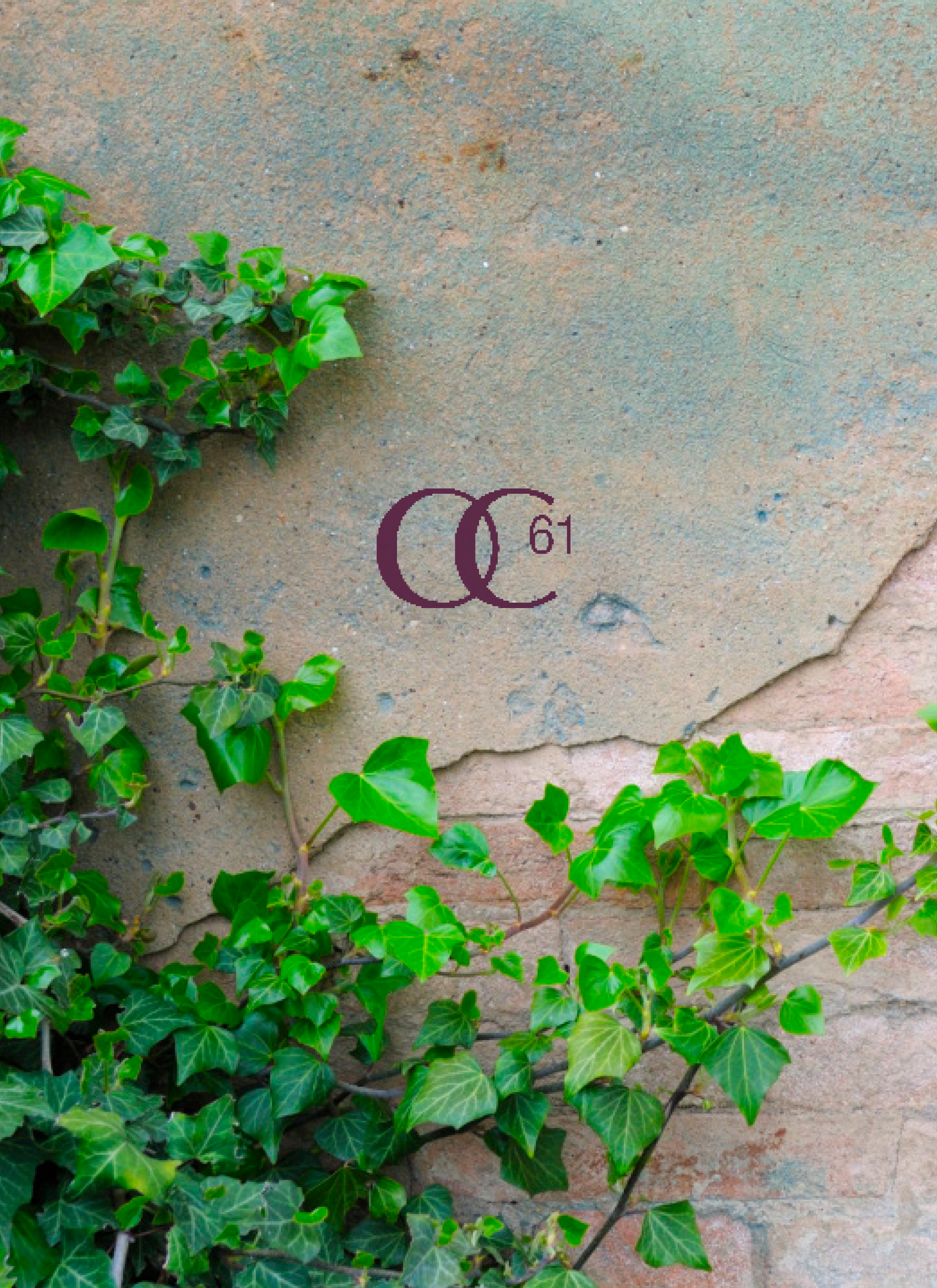 OC61 cover.png