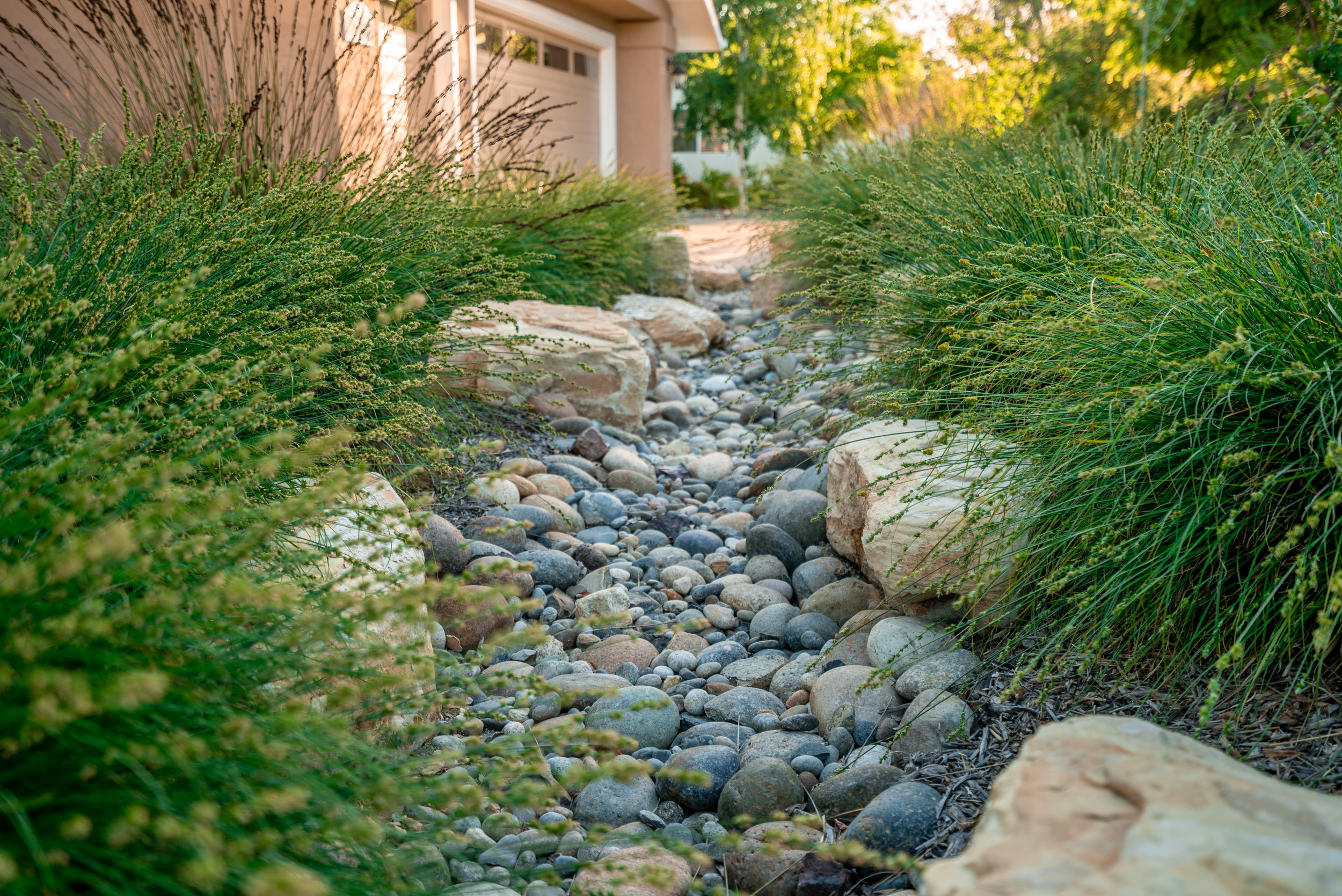 dry river beds — Native Landscape Creations