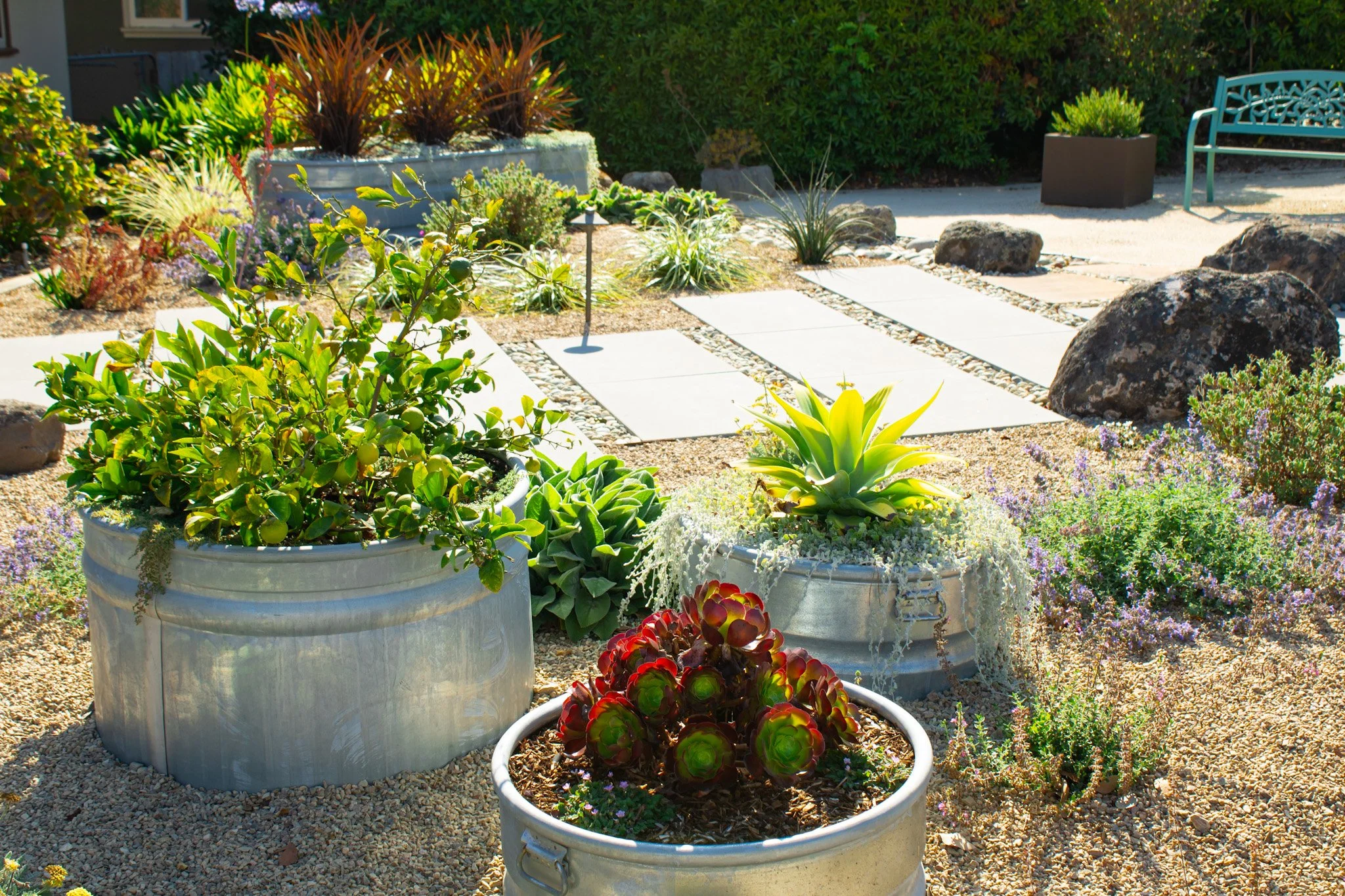 Winter Landscape Care Tips:  Preparing Your Outdoor Spaces for the Cold Season