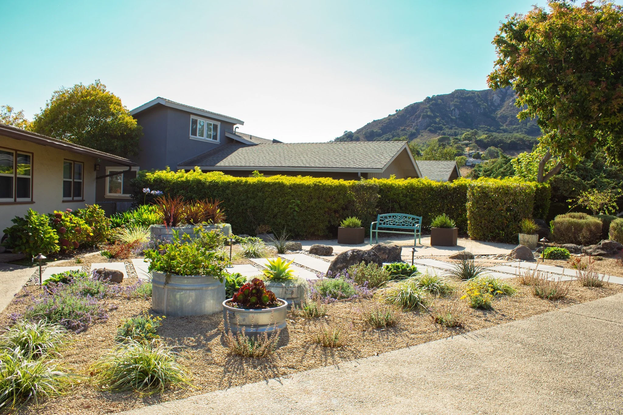 Designing for Drought: Smart, Sustainable Landscaping