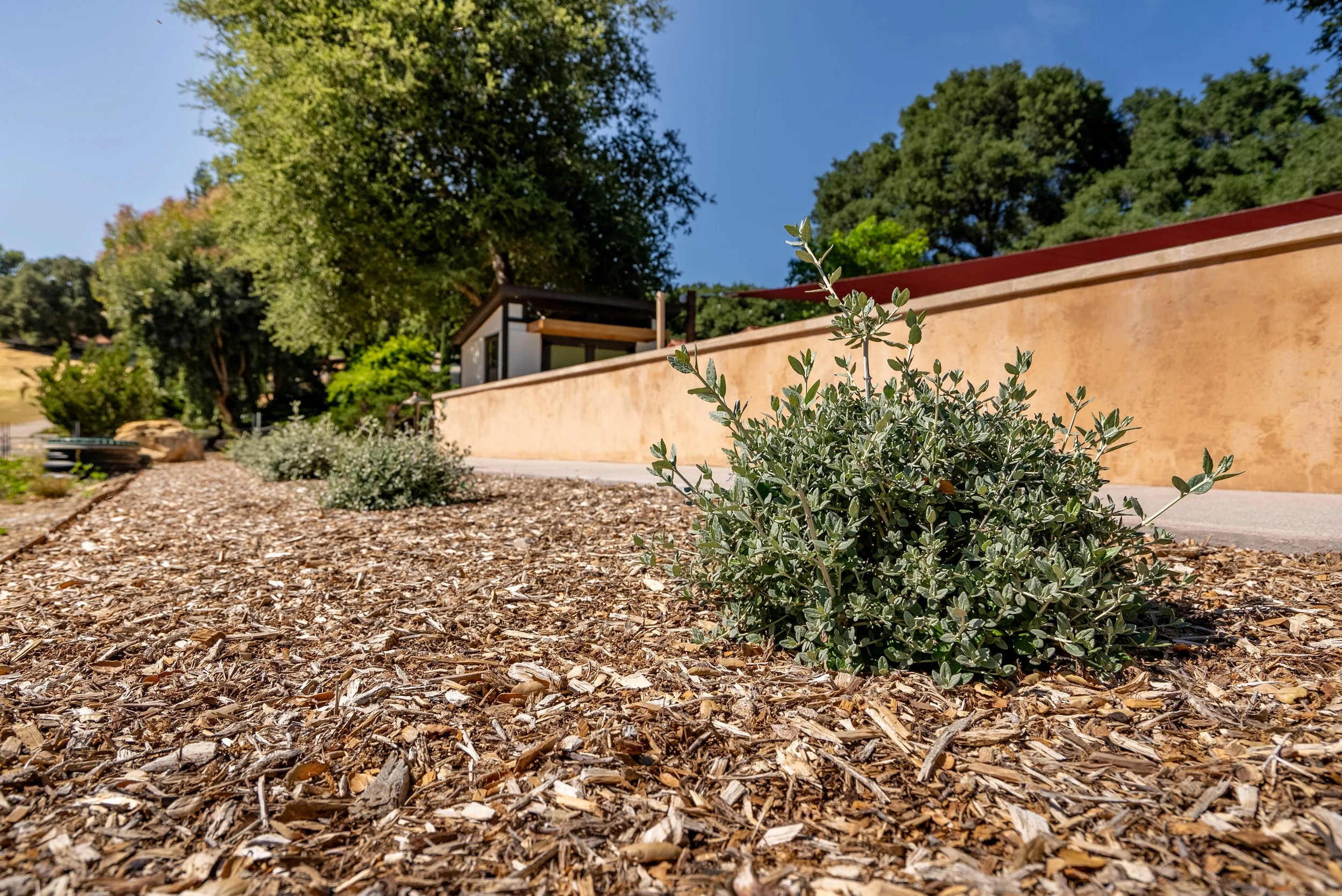 denmead-residence-21.jpg