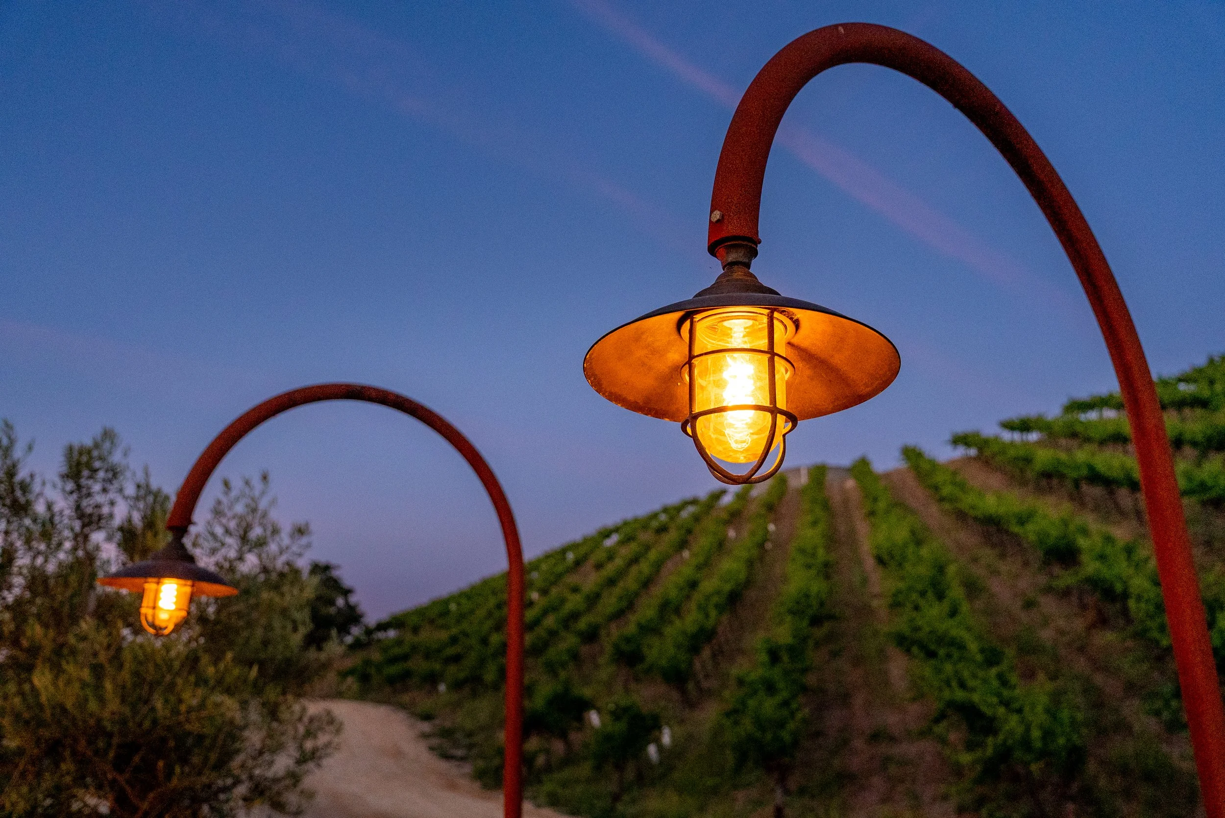 midpoint-winery-final-media-69.jpg