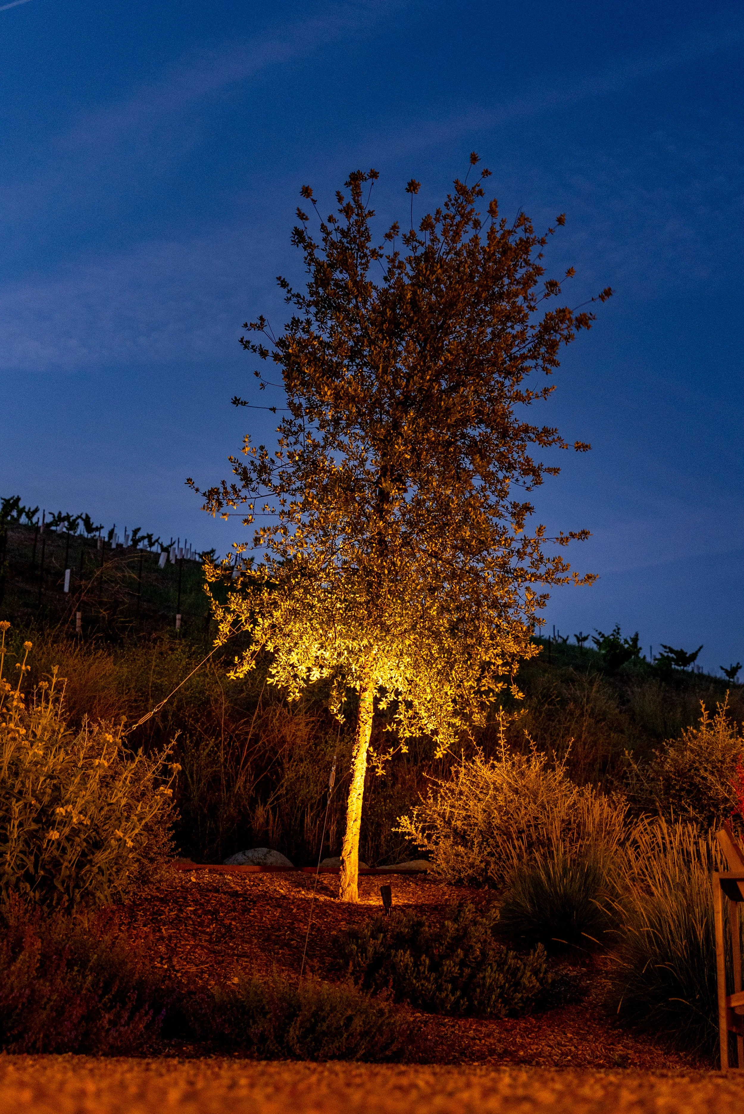 midpoint-winery-final-media-81.jpg