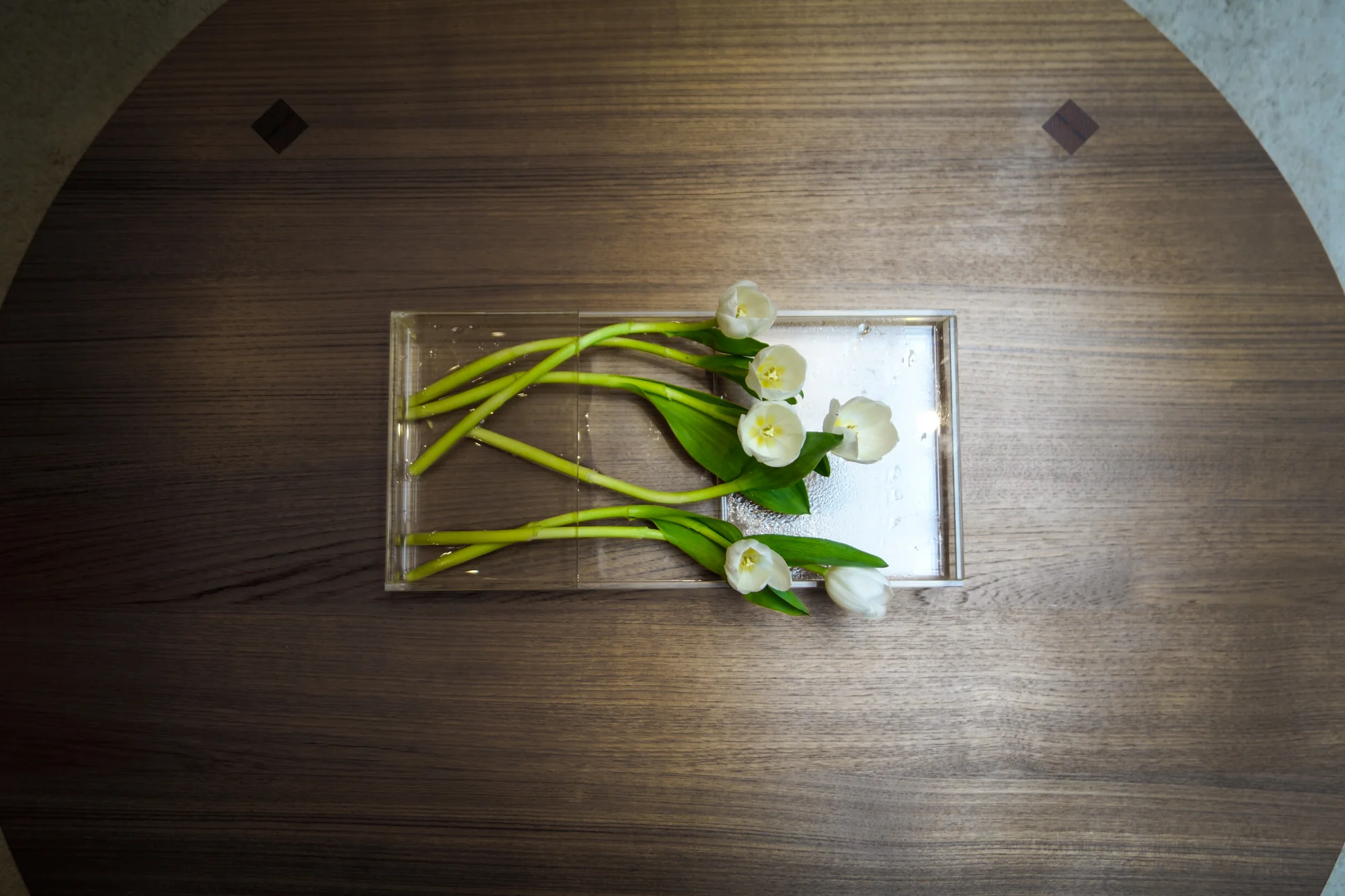 ニューヨークでお金をかけずに暮らす方法 植物編 ロン毛と坊主とニューヨーク