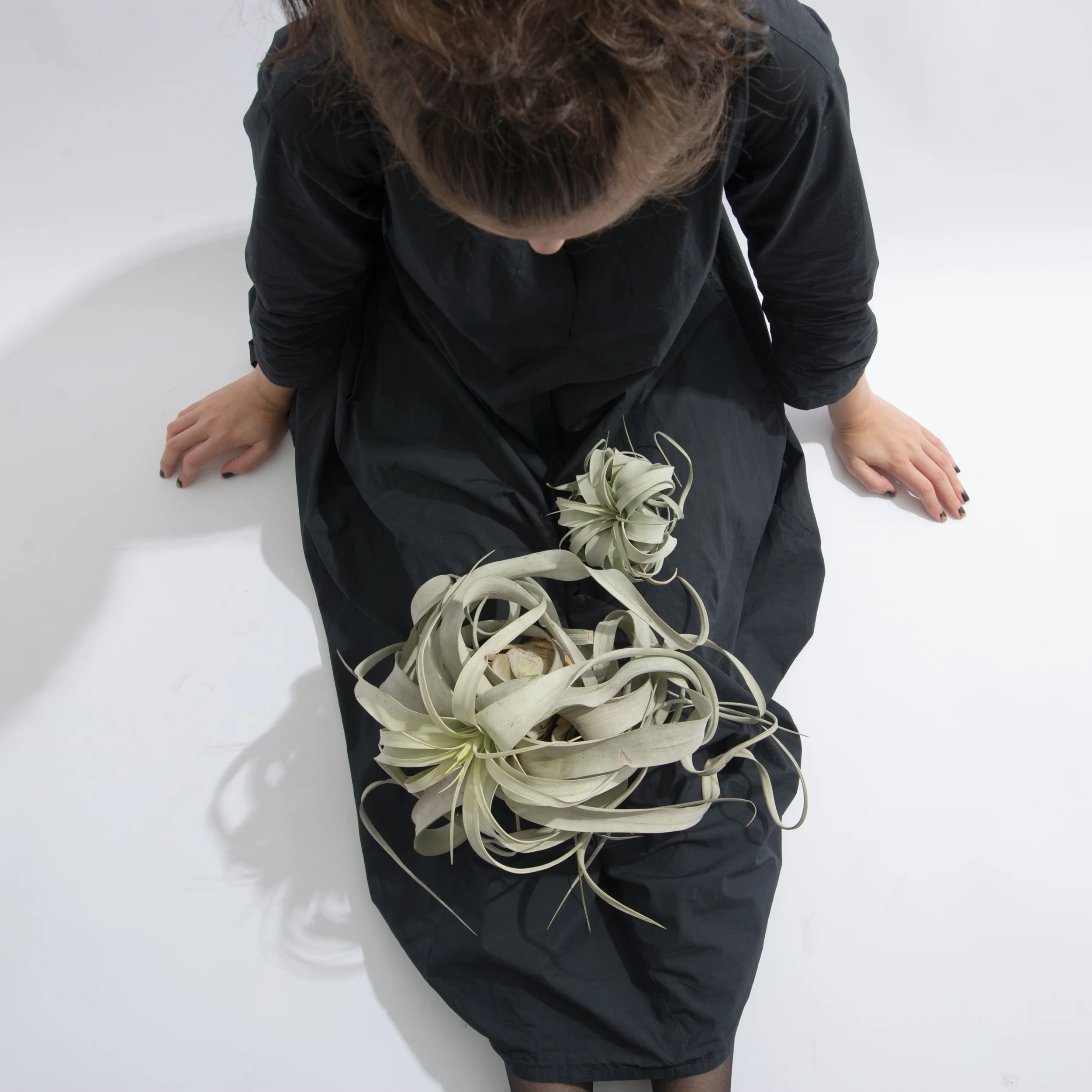 ニューヨークでお金をかけずに暮らす方法 植物編 パート２ ロン毛と坊主とニューヨーク