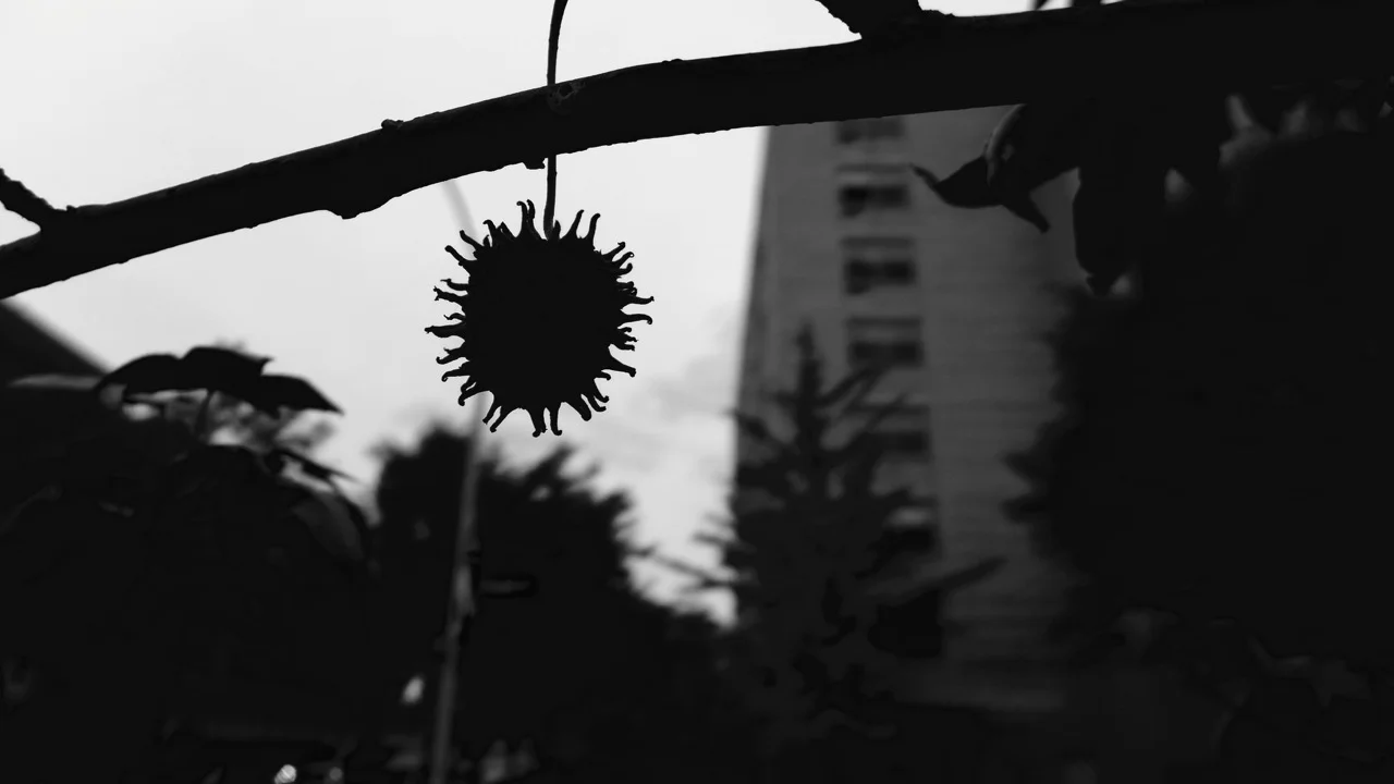 坊主は見た ブラックカード保有者の特徴と映画 麻雀放浪記 ロン毛と坊主とニューヨーク