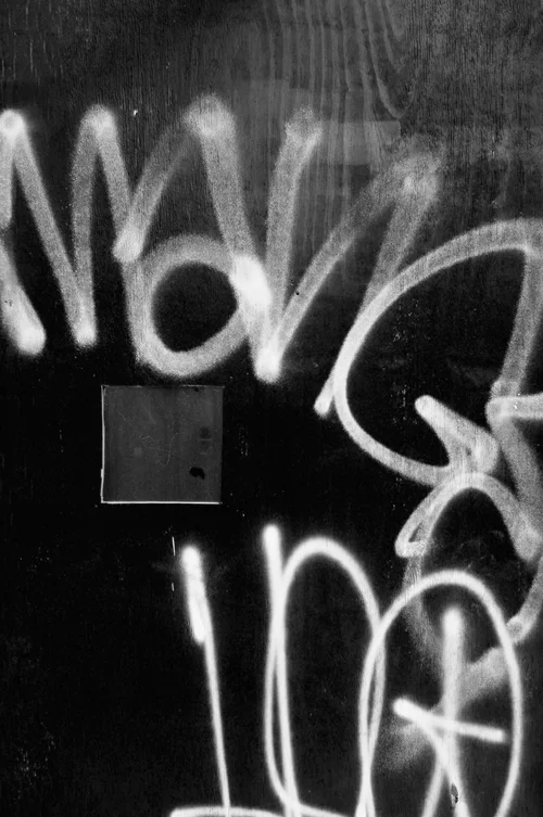 明日からスグ使える 学校で教えないかっこいい最新英語スラング４０選 ロン毛と坊主とニューヨーク