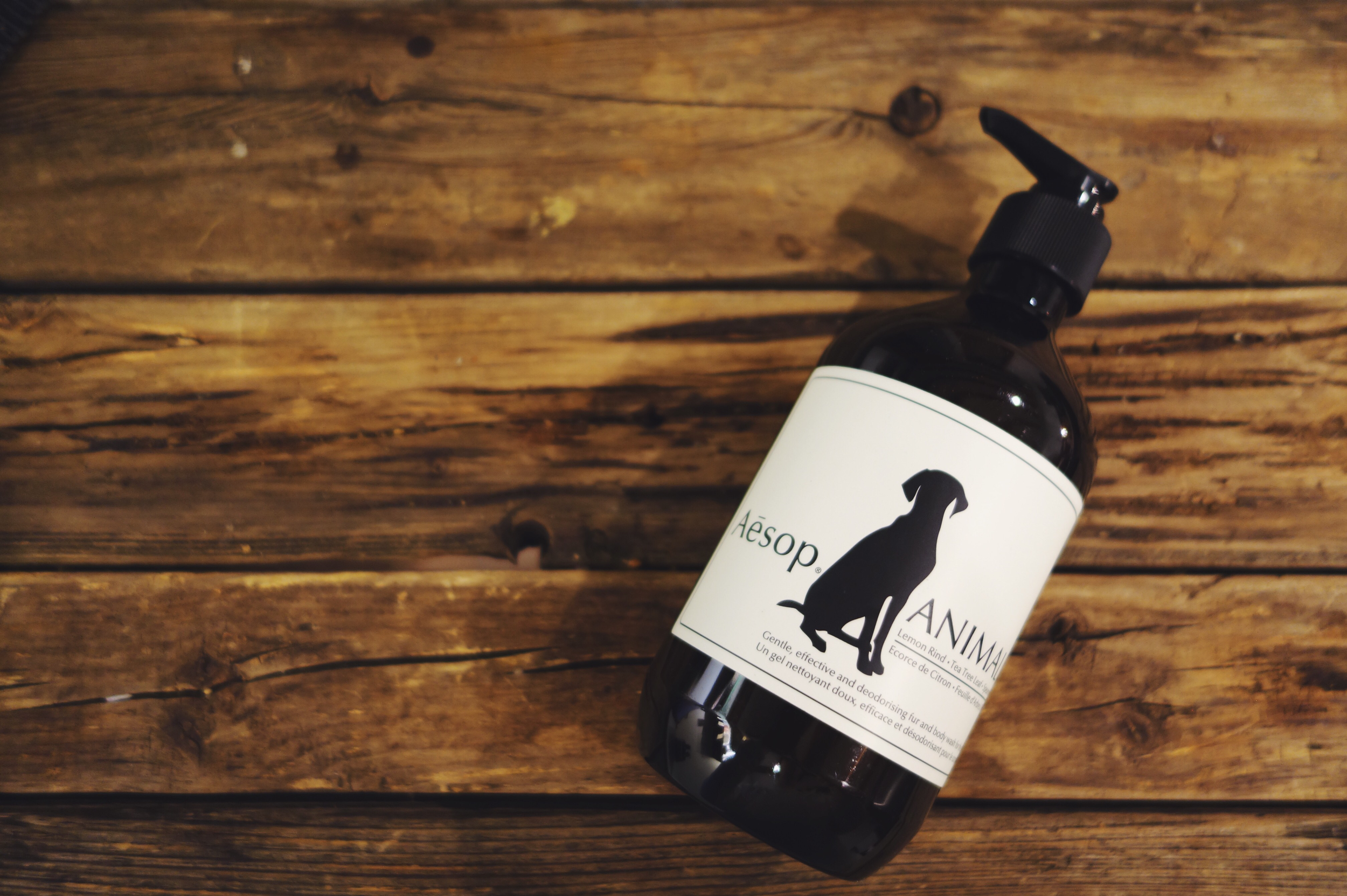 髪が腰より長いロン毛が愛用するaesop イソップ のヘアケアアイテムとオススメ紹介 ロン毛と坊主とニューヨーク